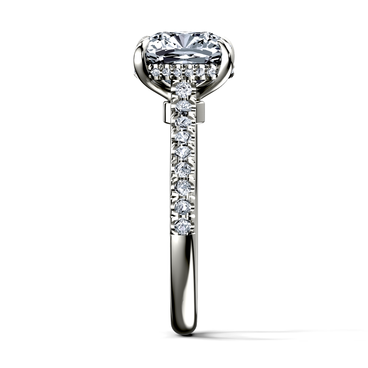 Image for The Althea