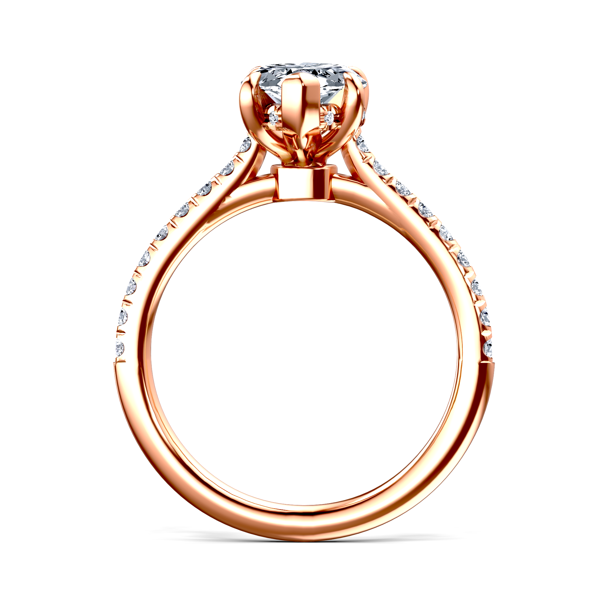 Image for The Althea