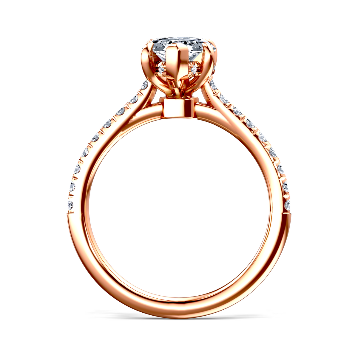 Image for The Althea