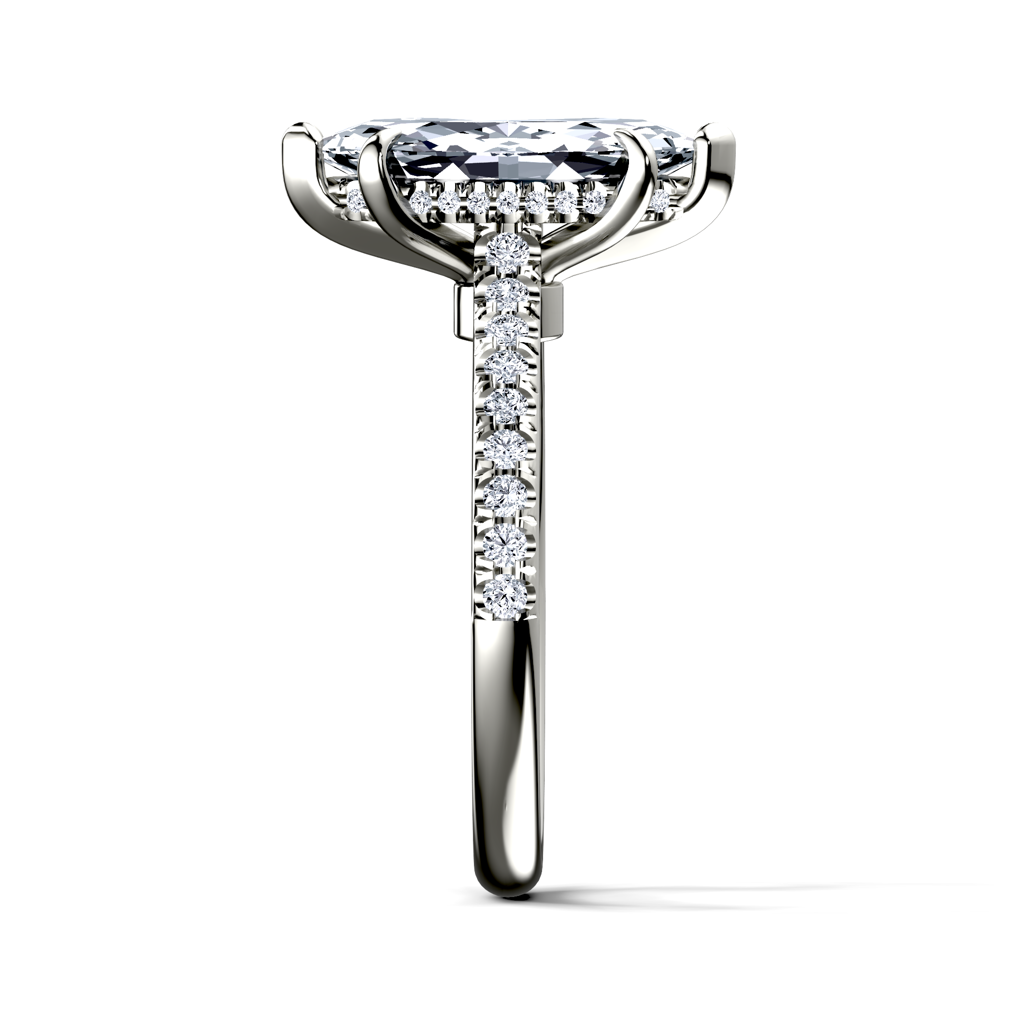 Image for The Althea