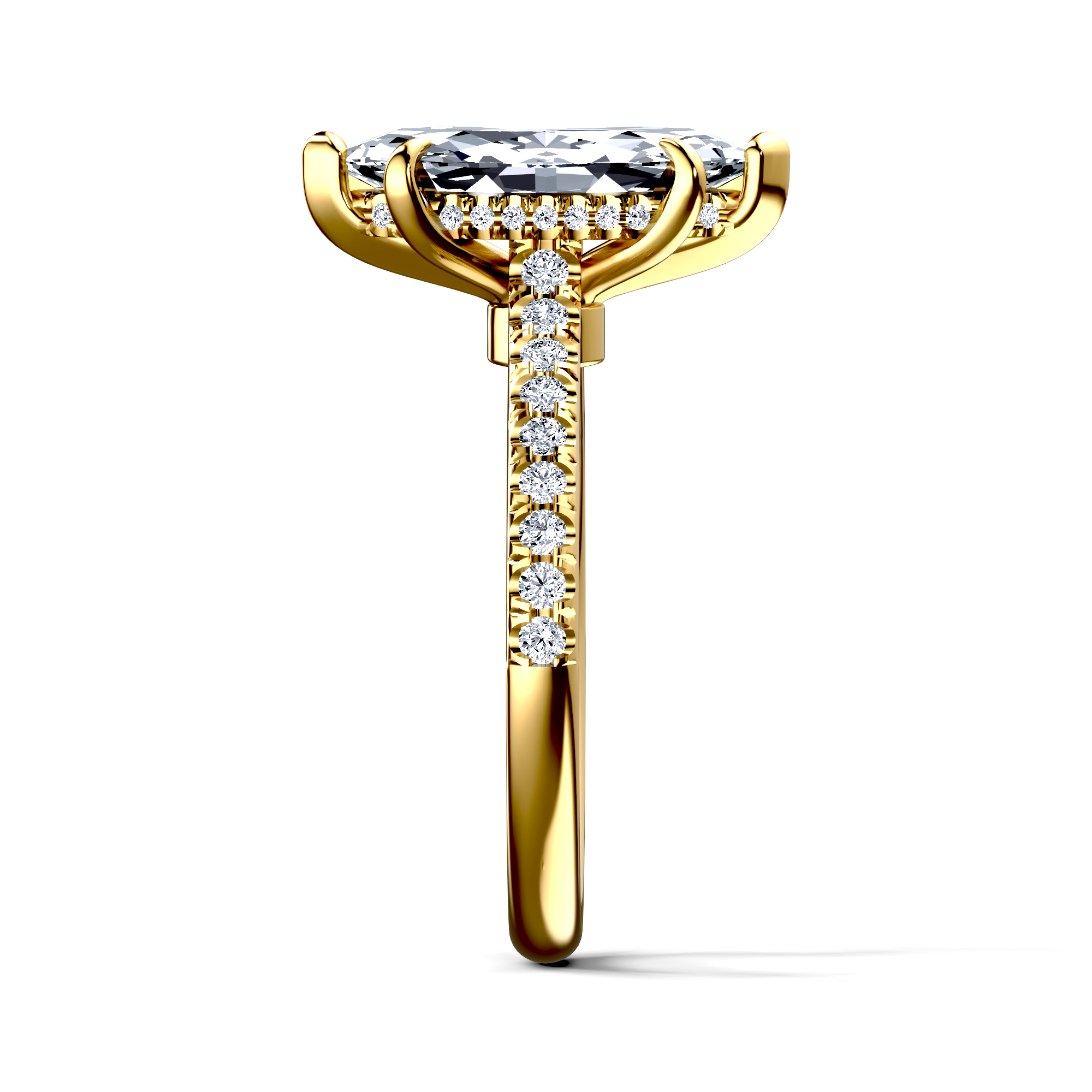 Image for The Althea