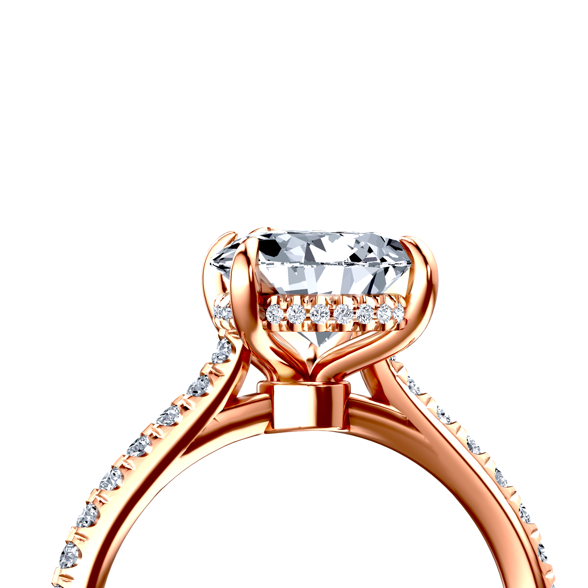 Image for The Althea