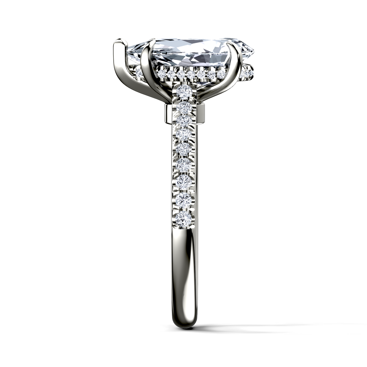 Image for The Althea