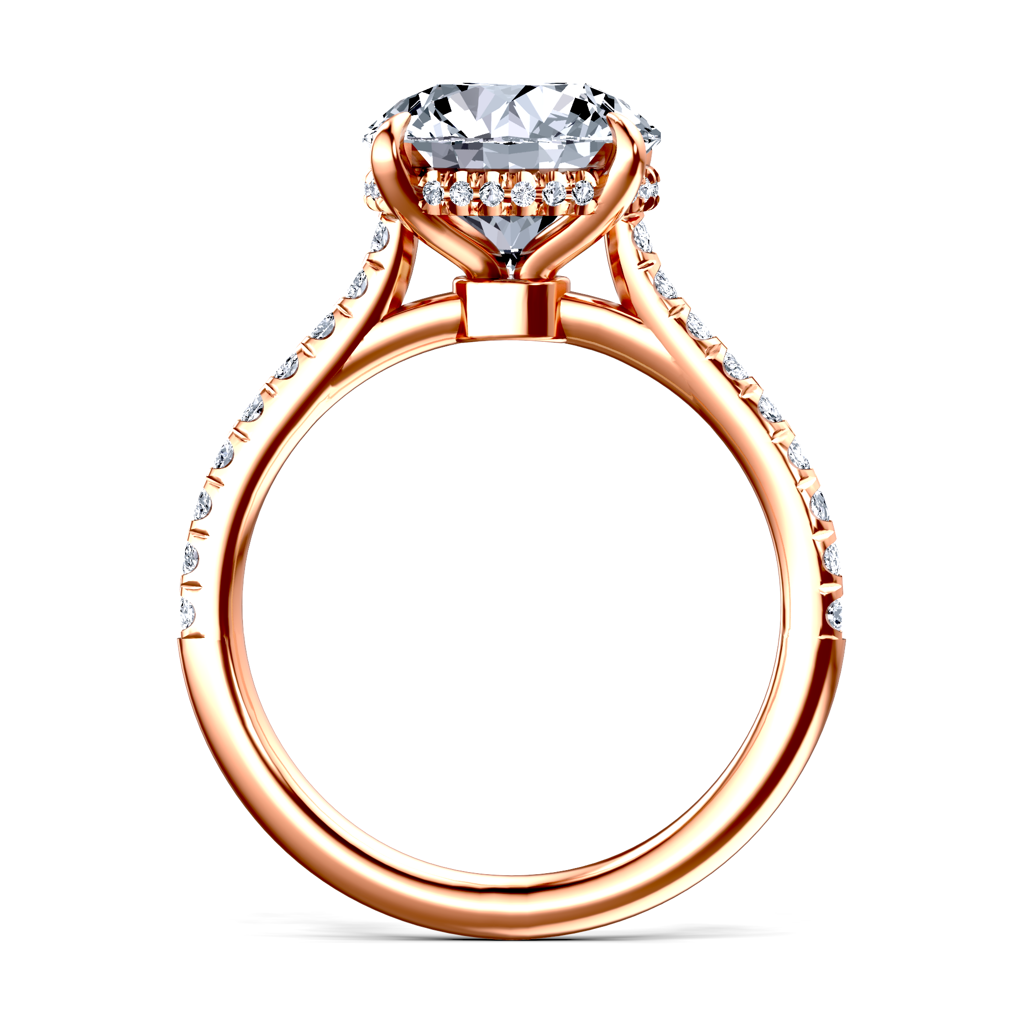 Image for The Althea