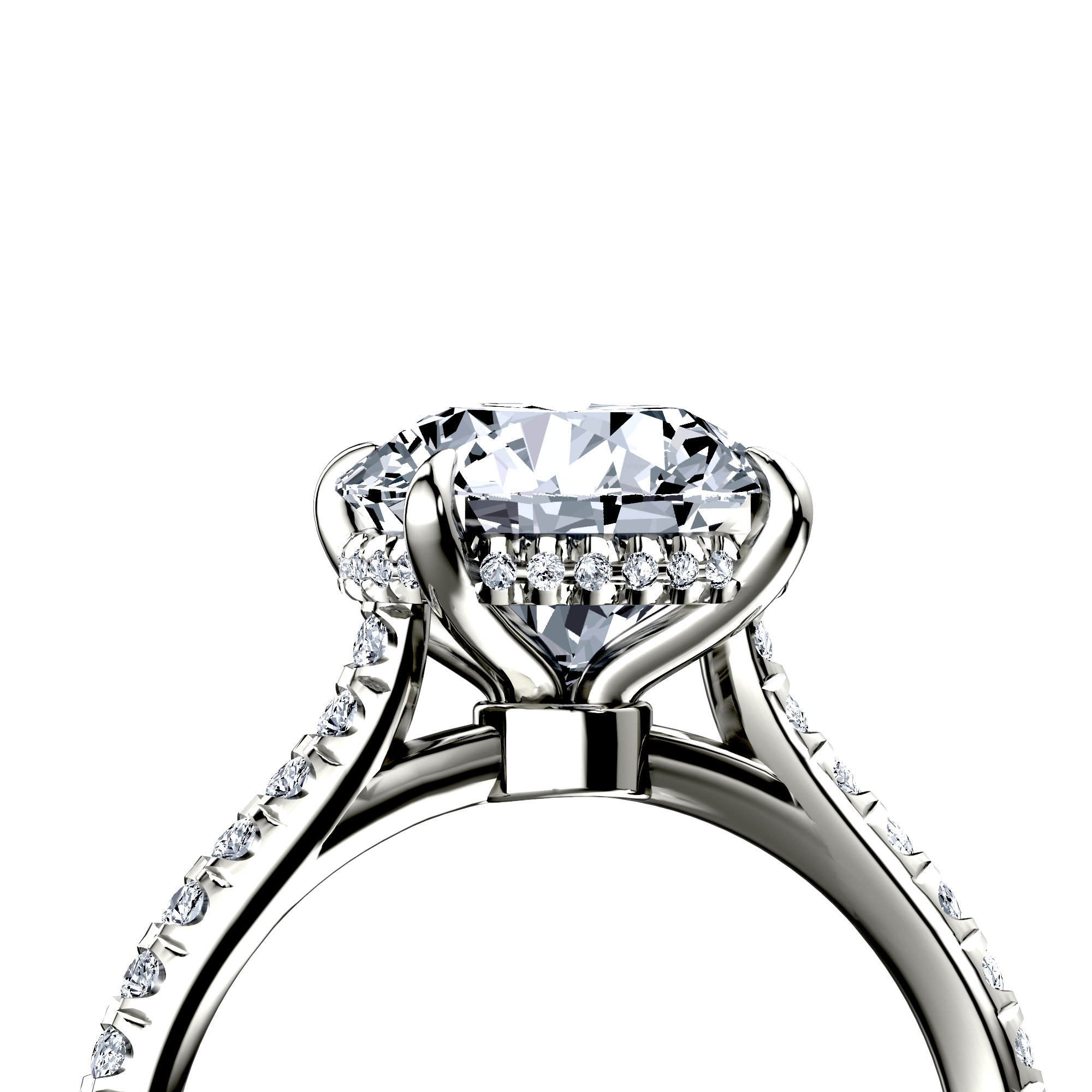 Image for The Althea