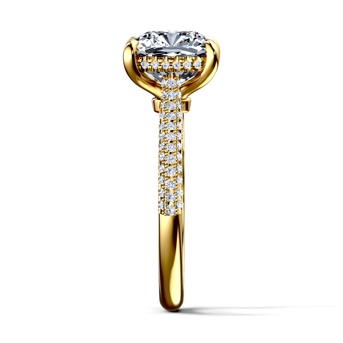 Image for The Astra
