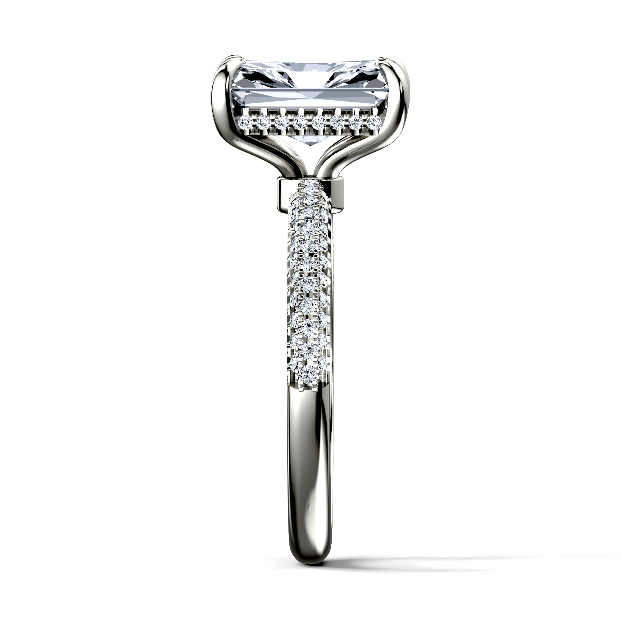 Image for The Estra