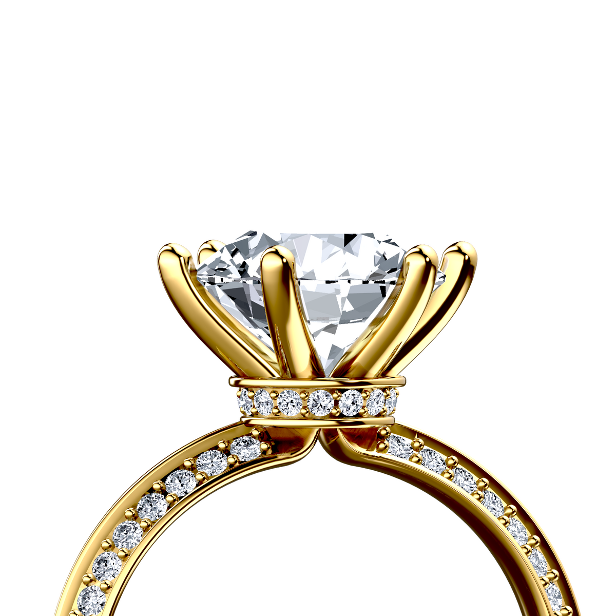 Image for The Isadora