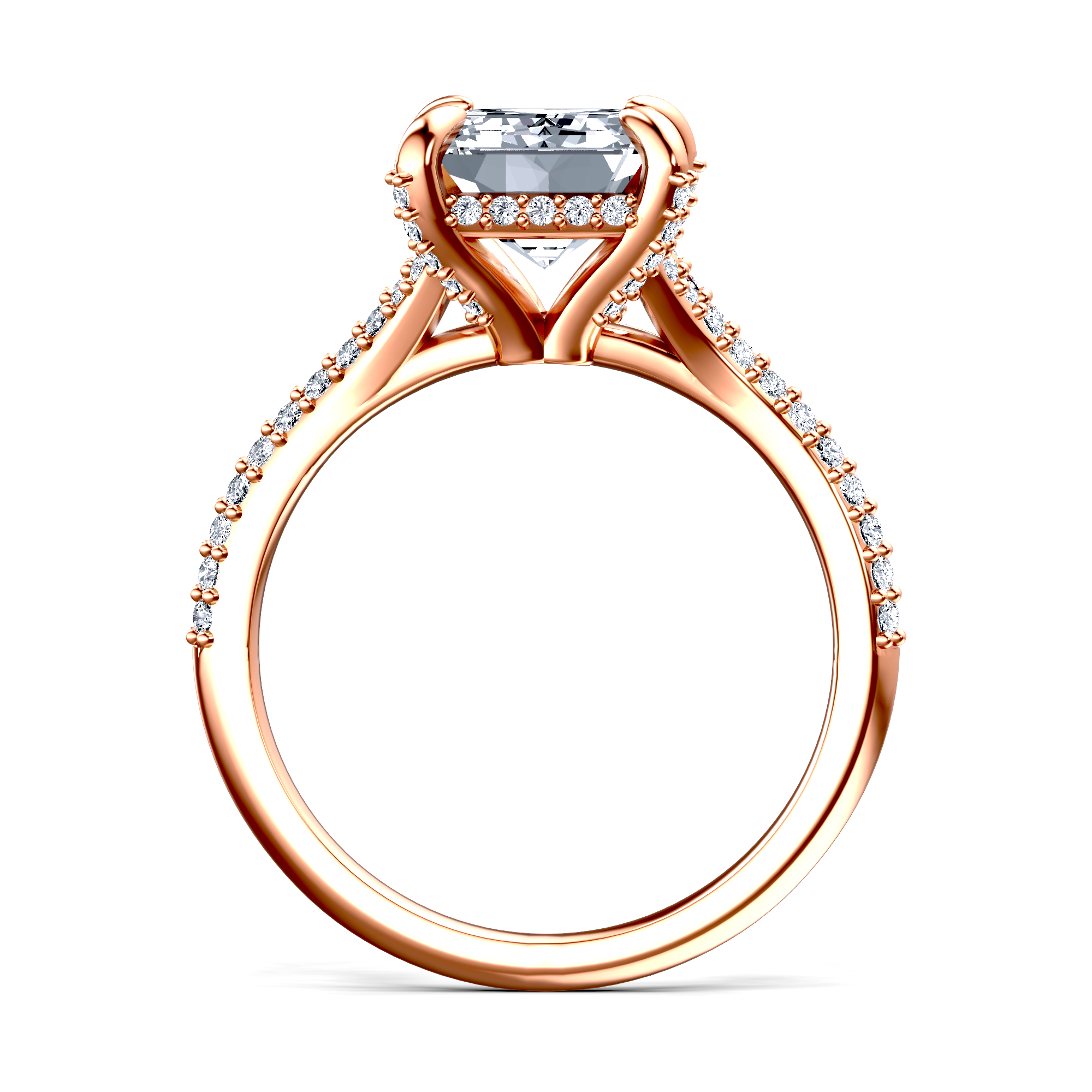 Image for The Adora