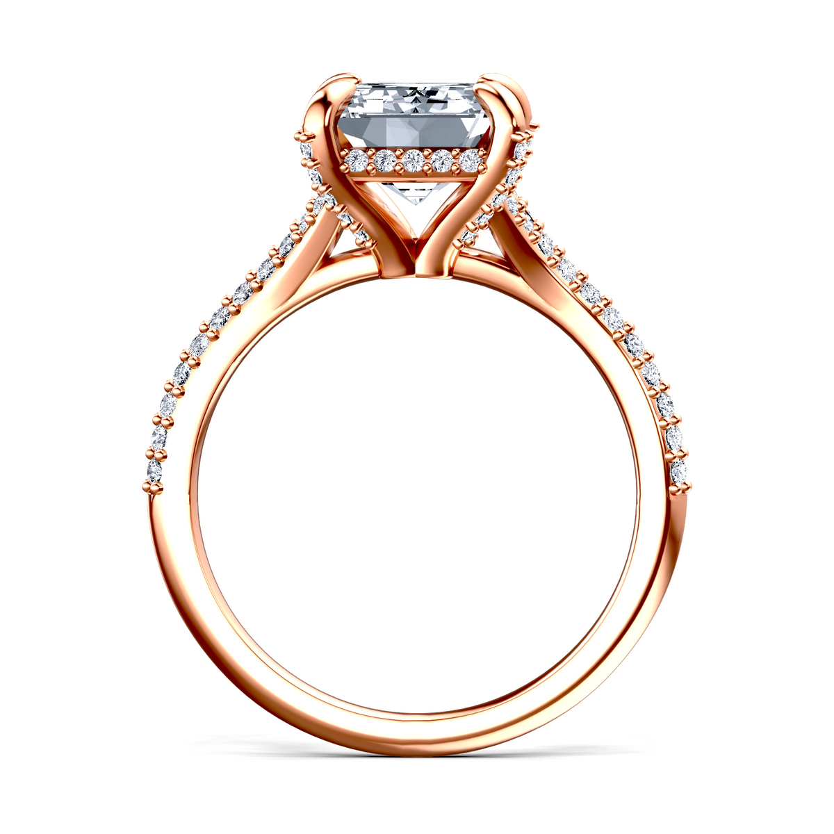 Image for The Adora