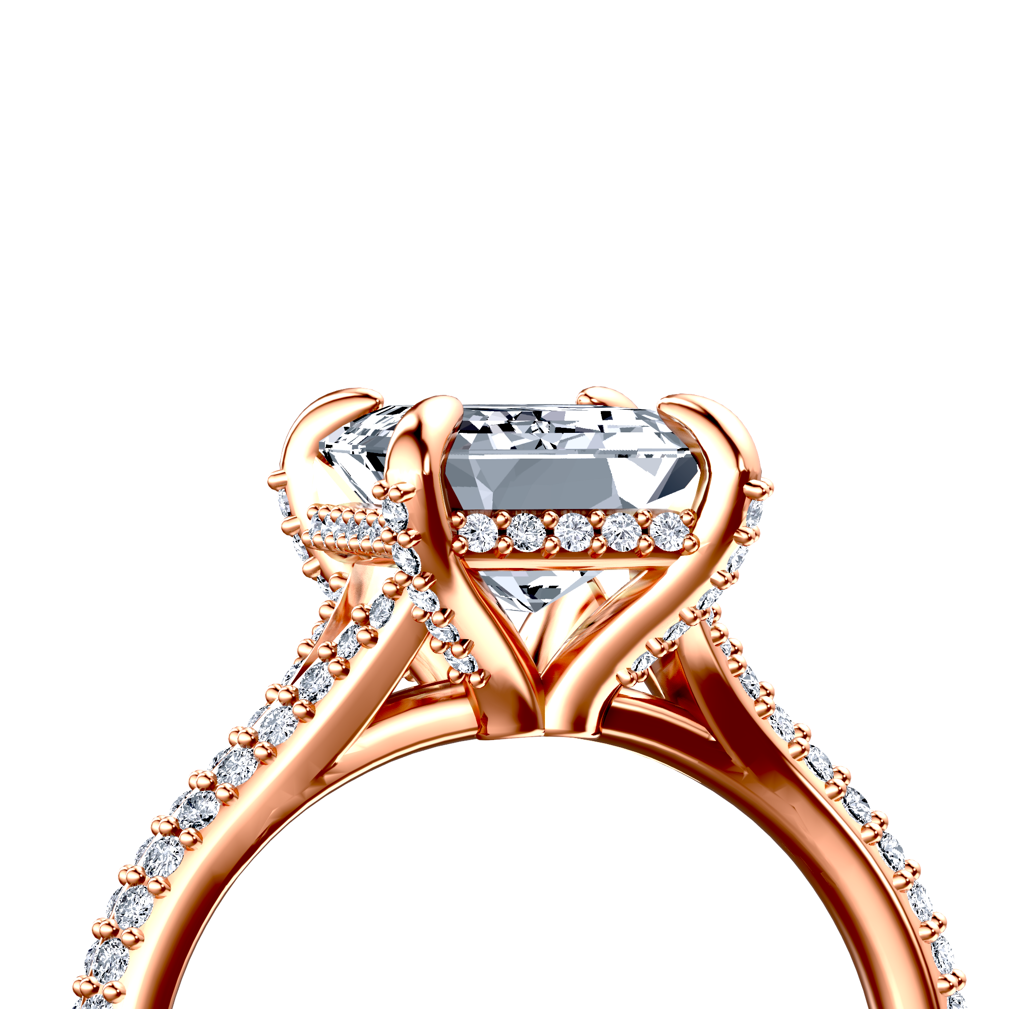 Image for The Adora