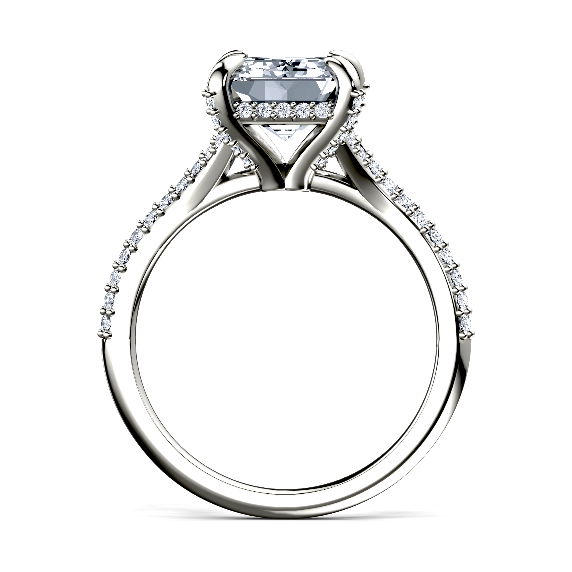 Image for The Adora