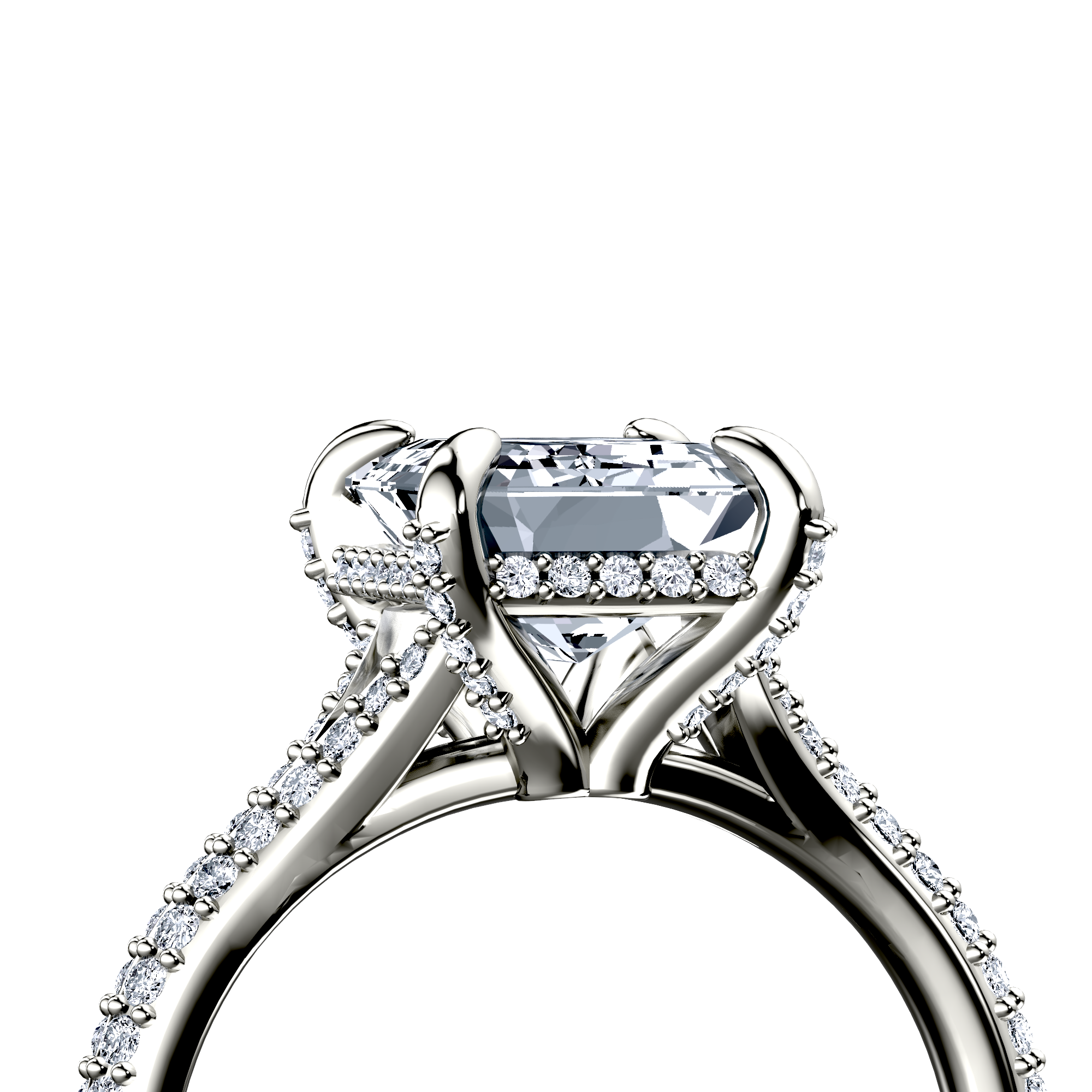 Image for The Adora