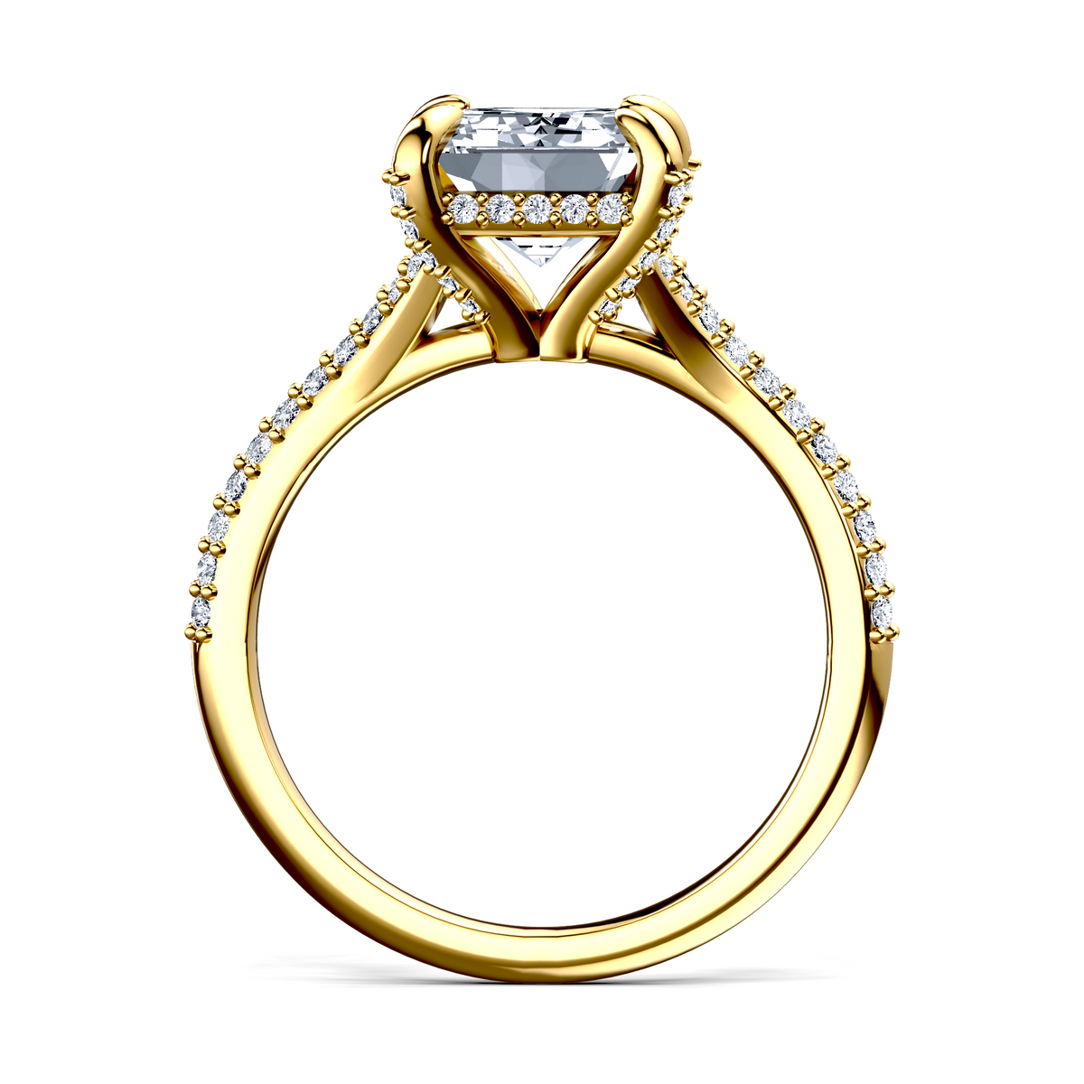 Image for The Adora