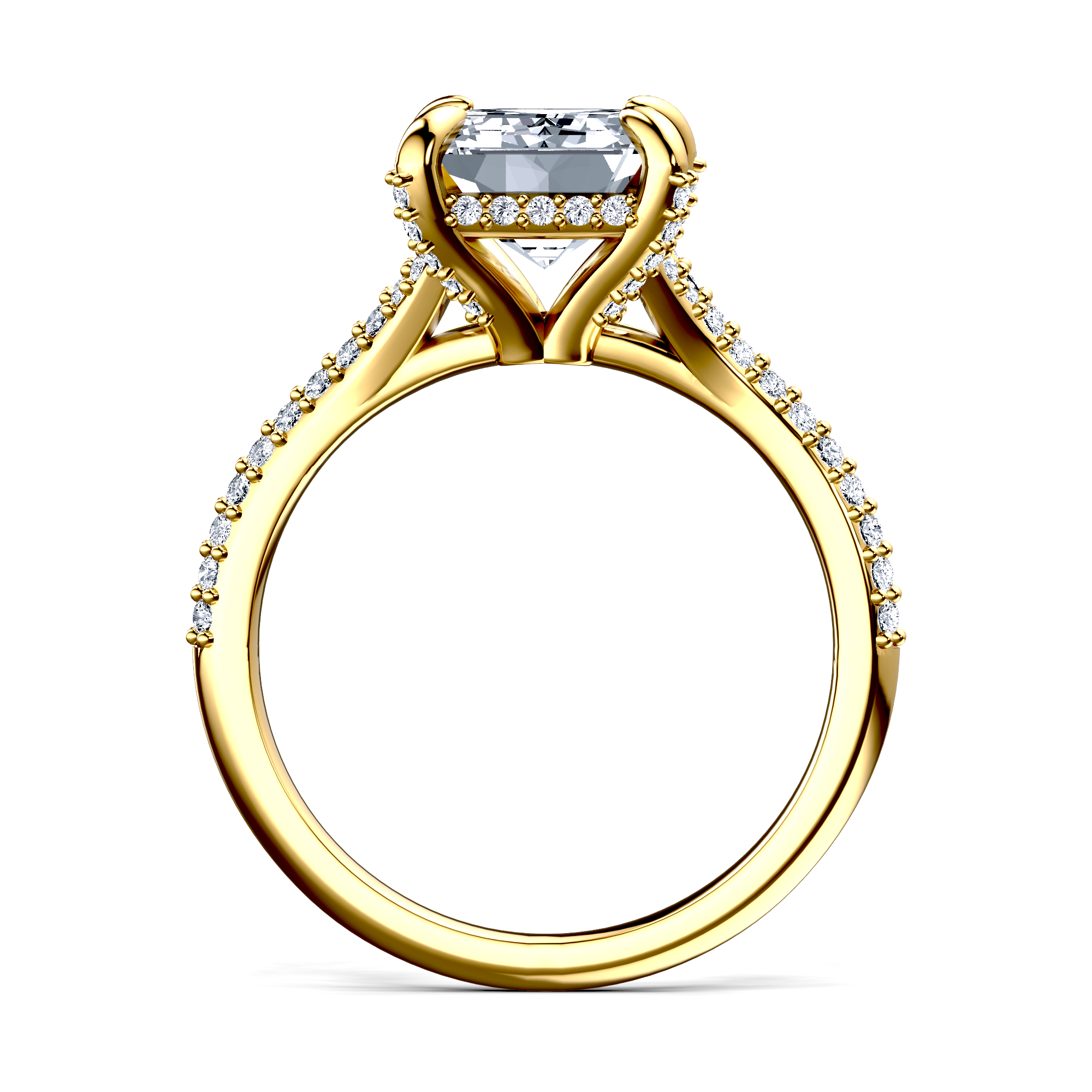 Image for The Adora