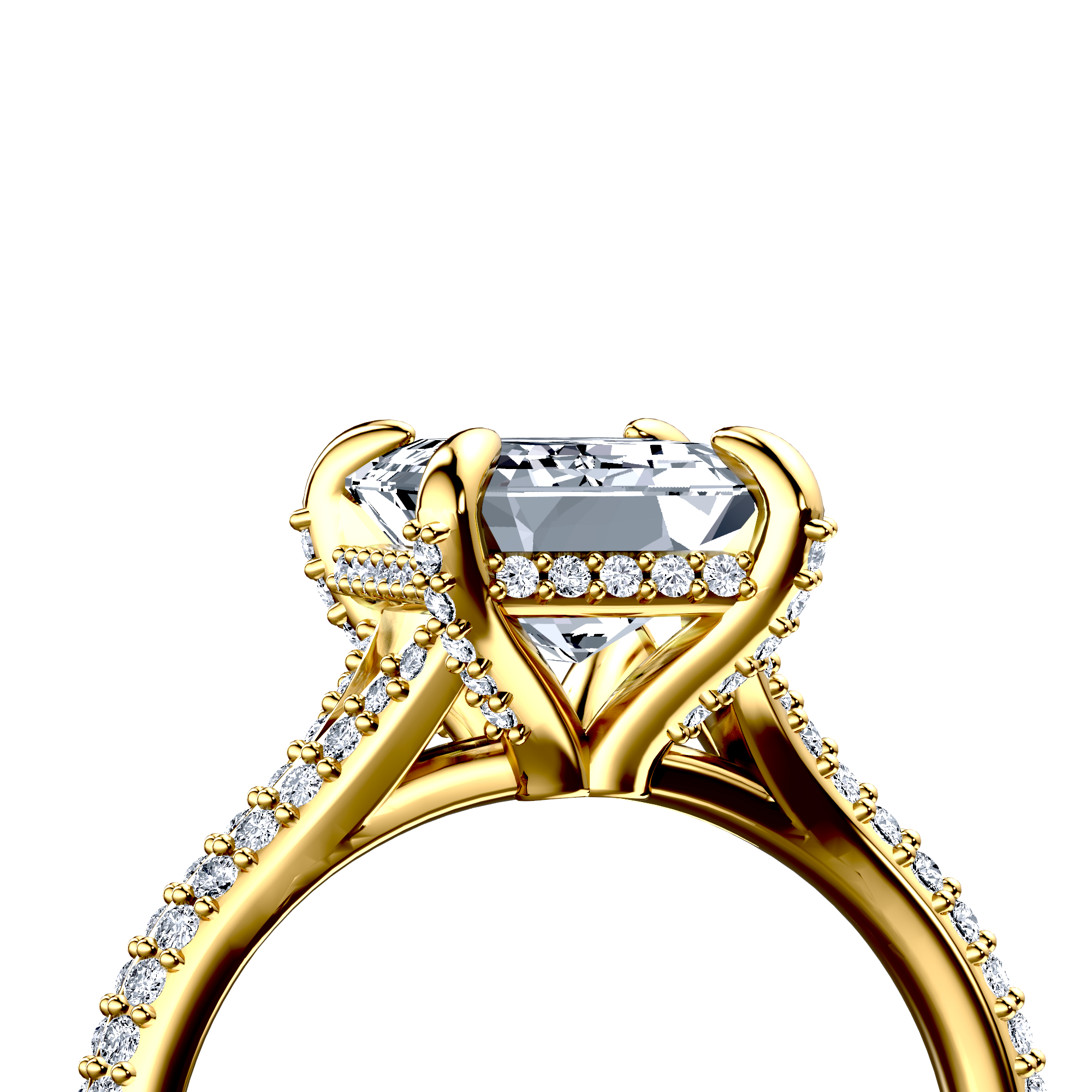 Image for The Adora