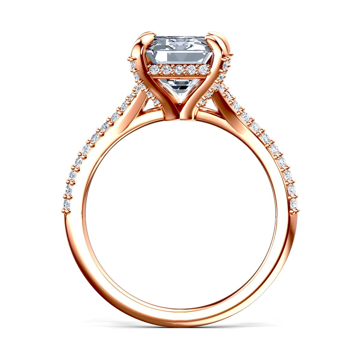 Image for The Adora
