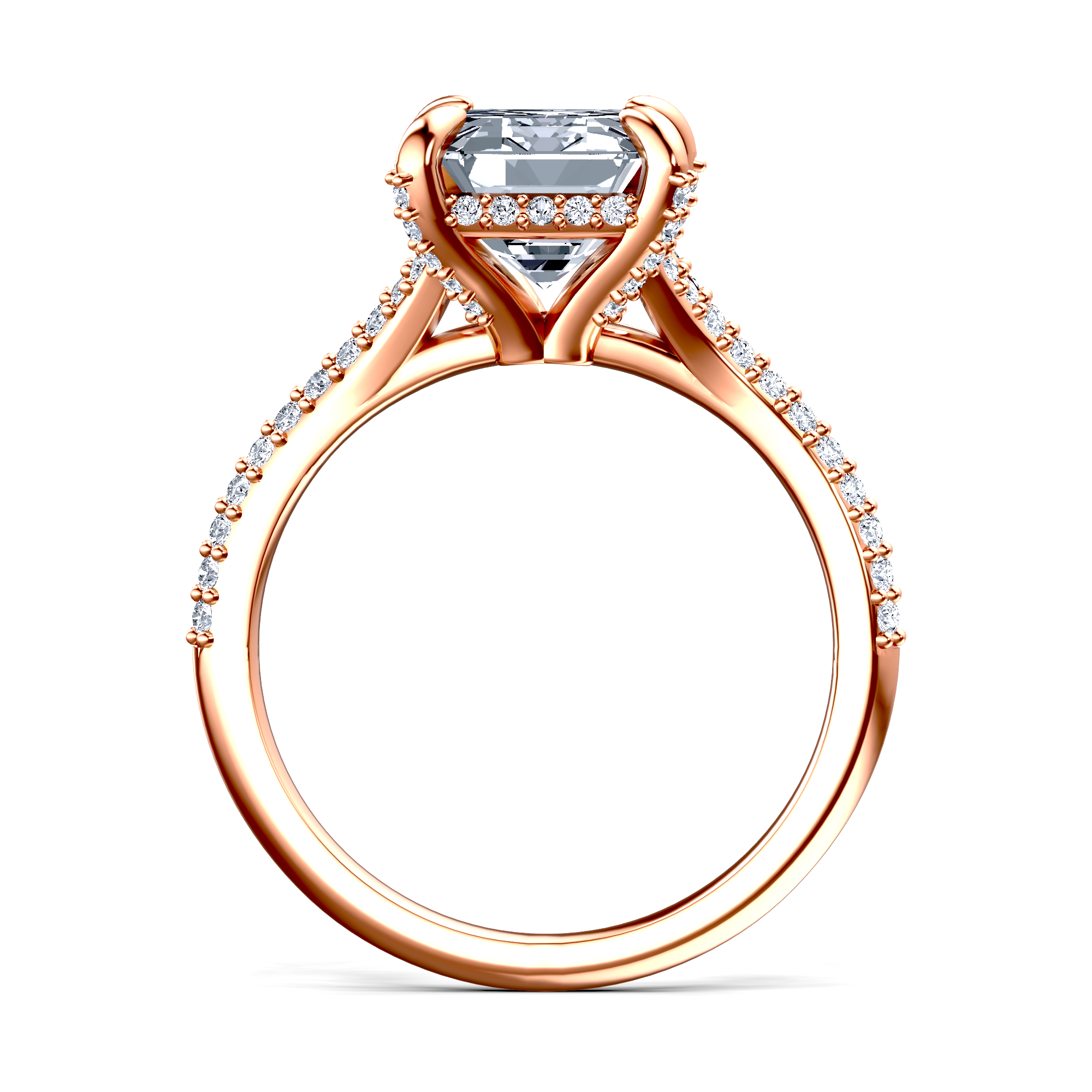 Image for The Adora