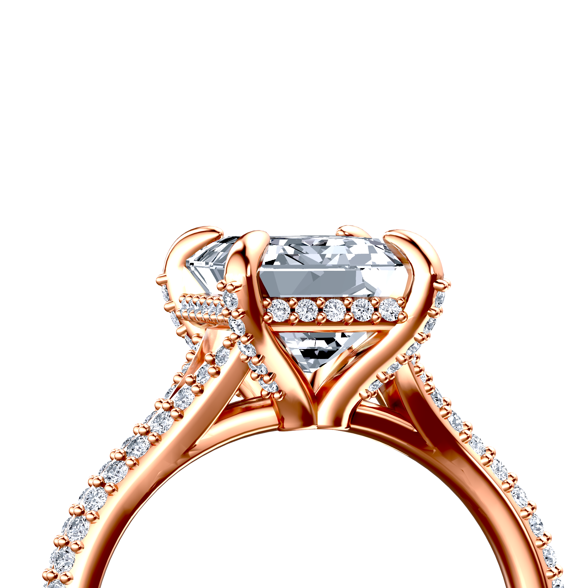 Image for The Adora