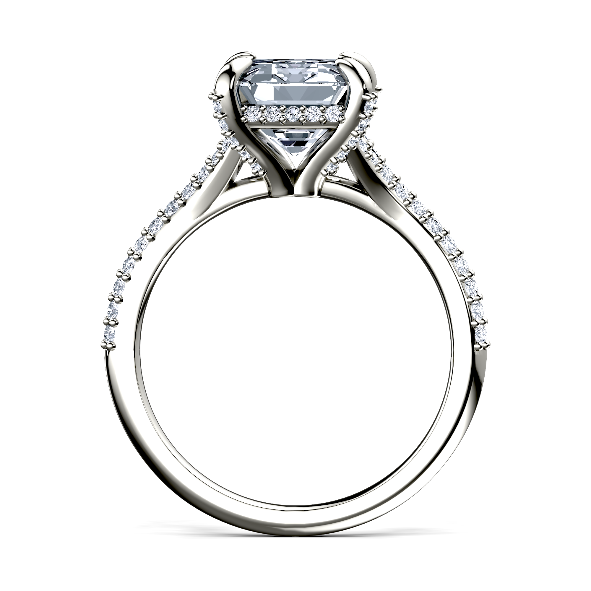 Image for The Adora