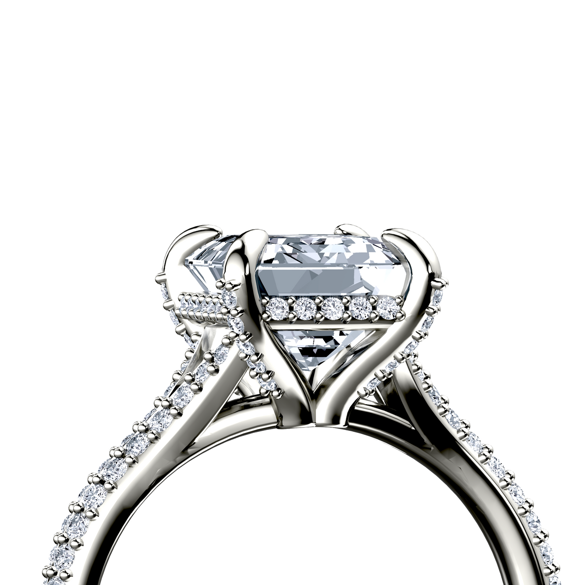 Image for The Adora