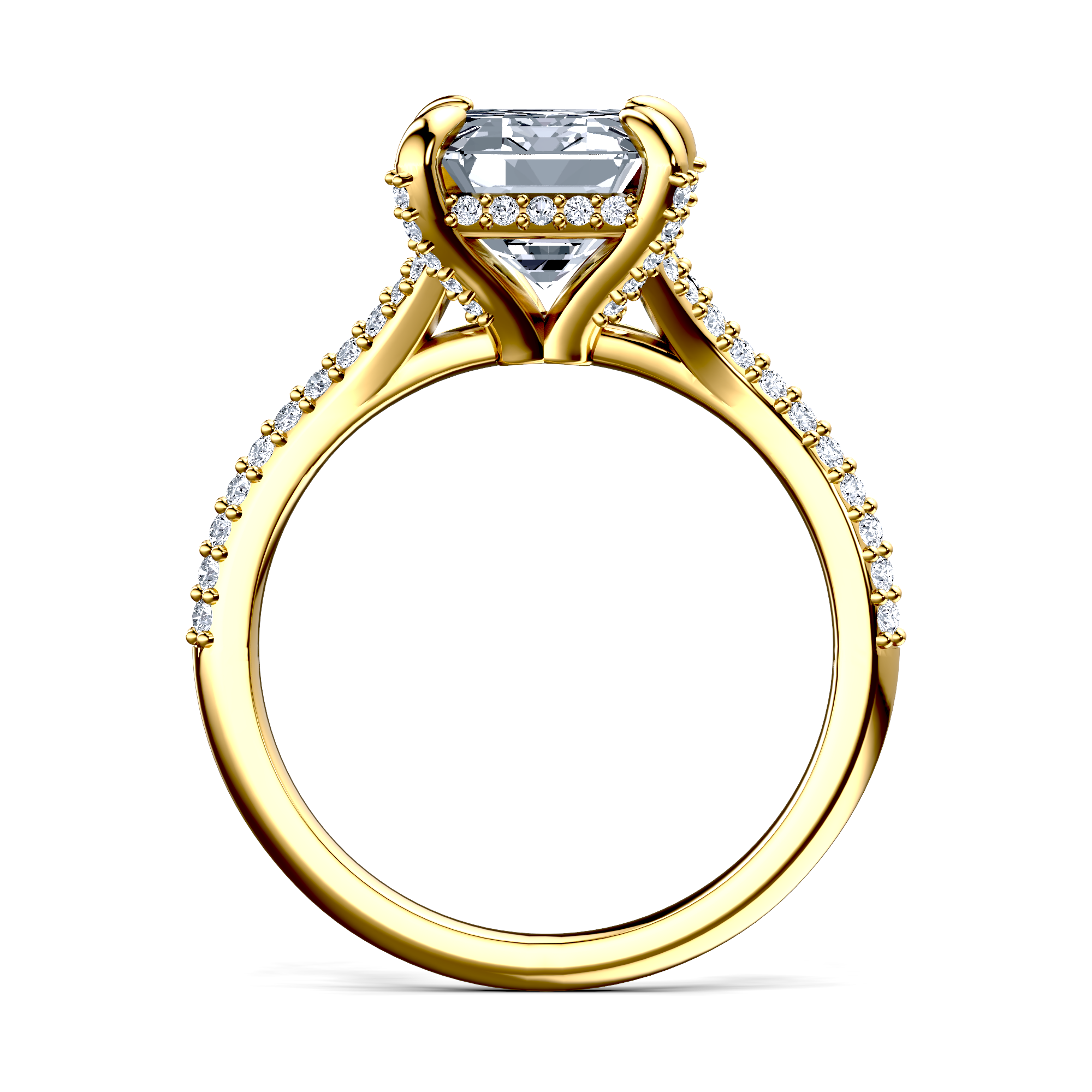 Image for The Adora