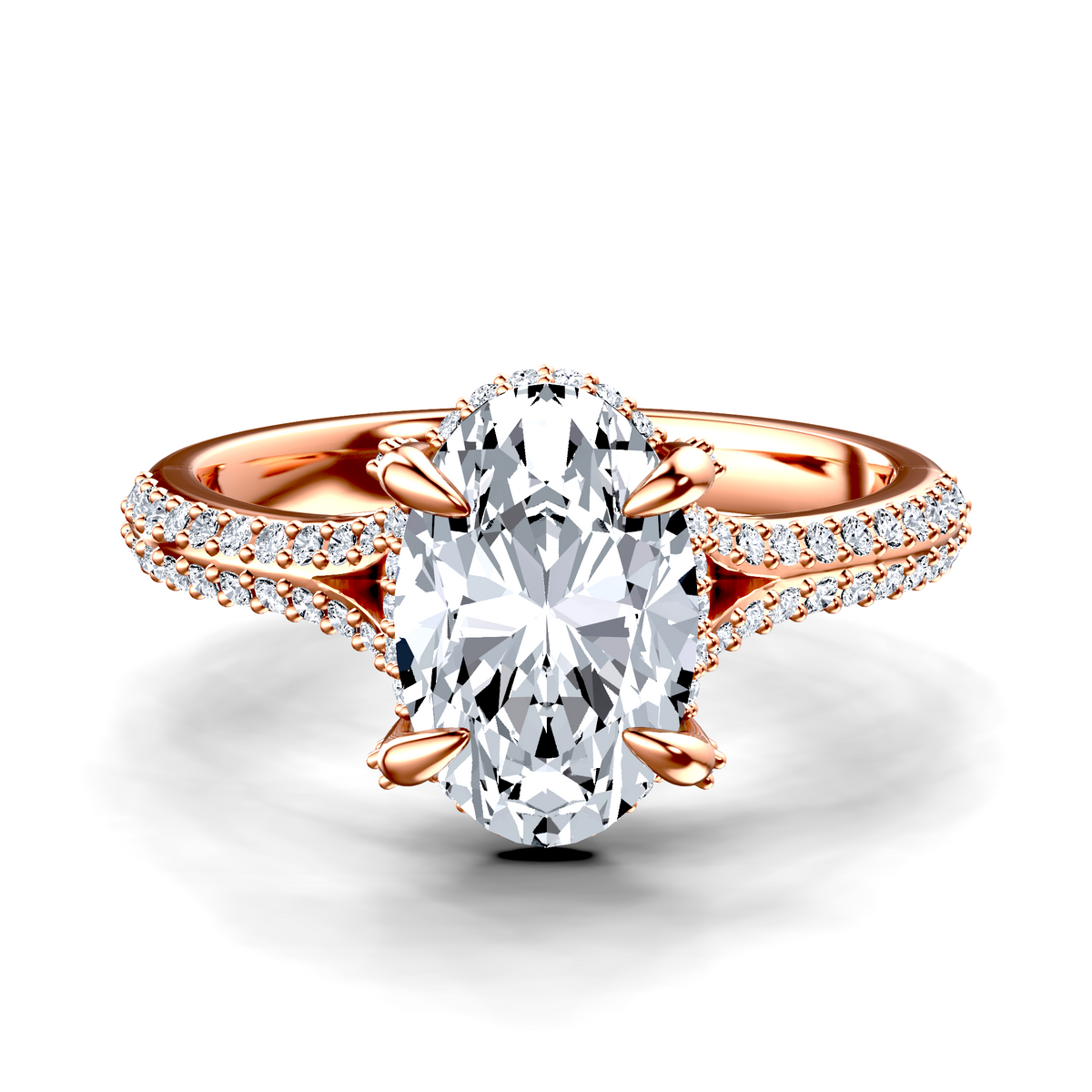 Image for The Adora