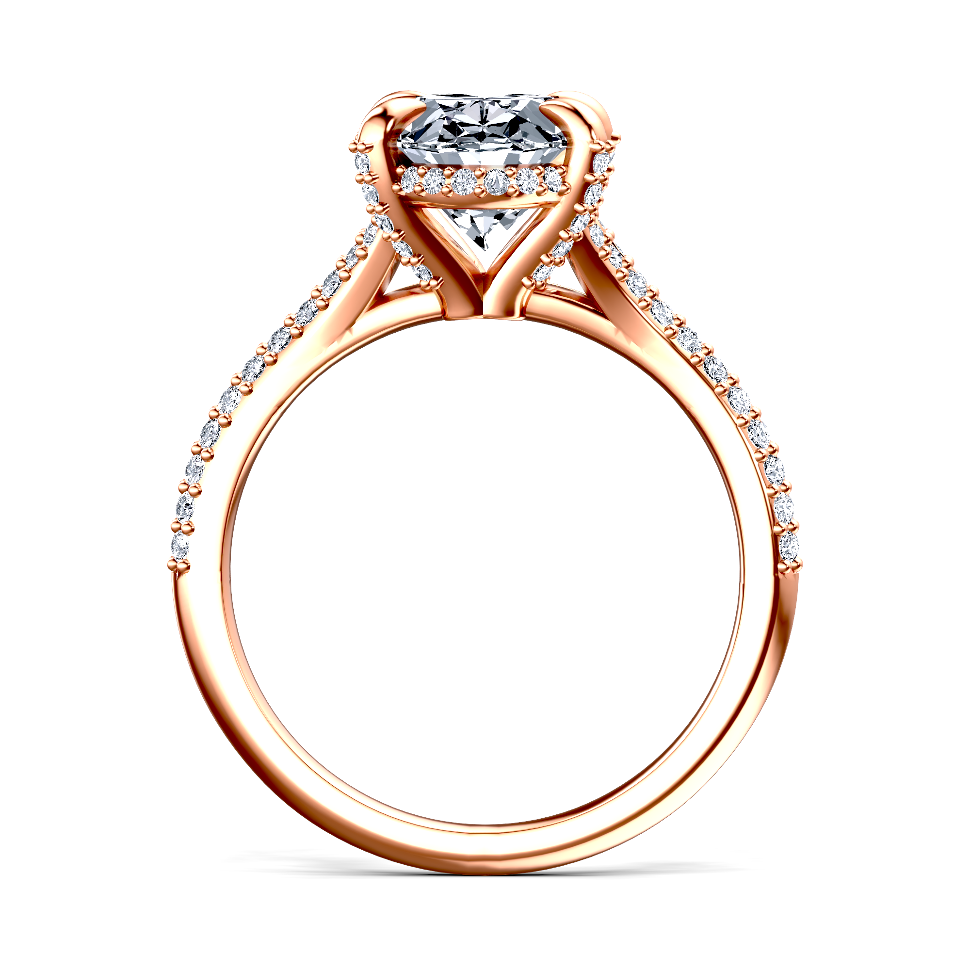 Image for The Adora