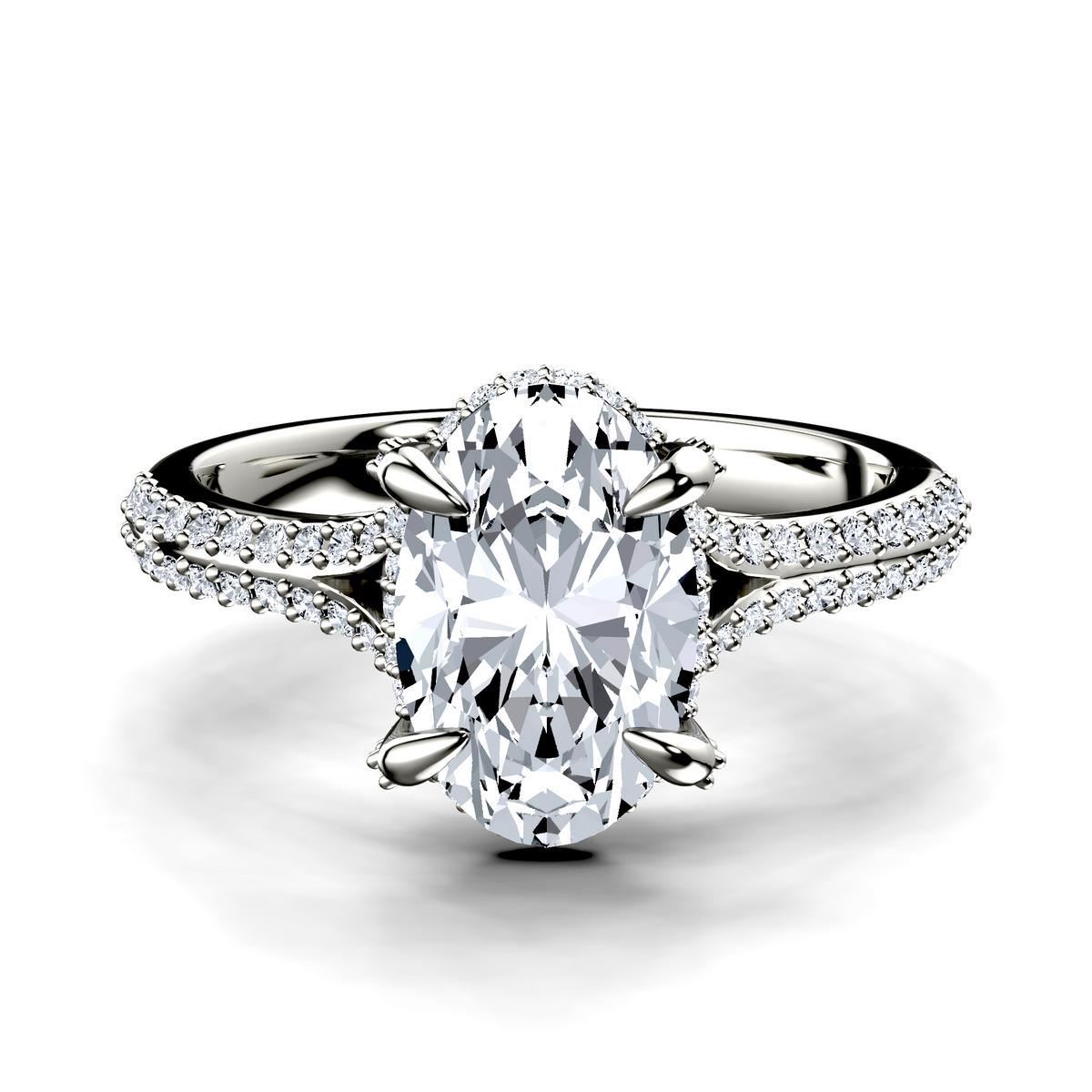 Image for The Adora