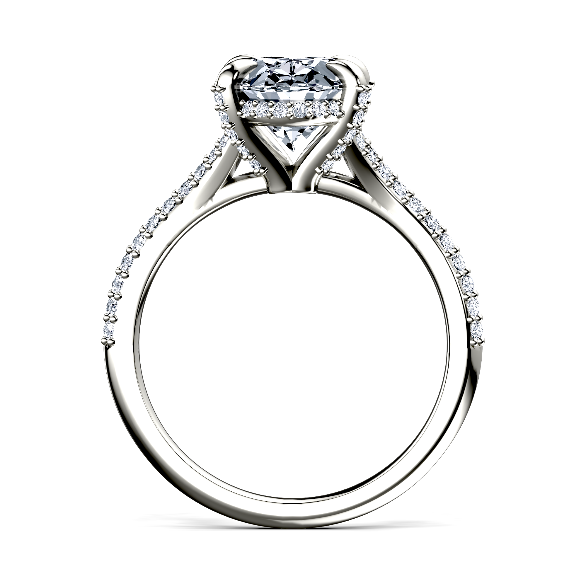 Image for The Adora