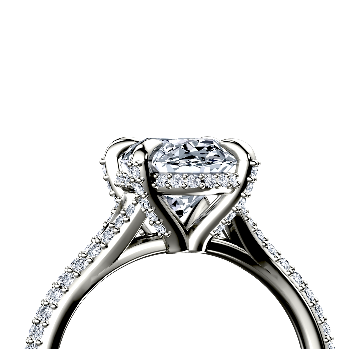 Image for The Adora