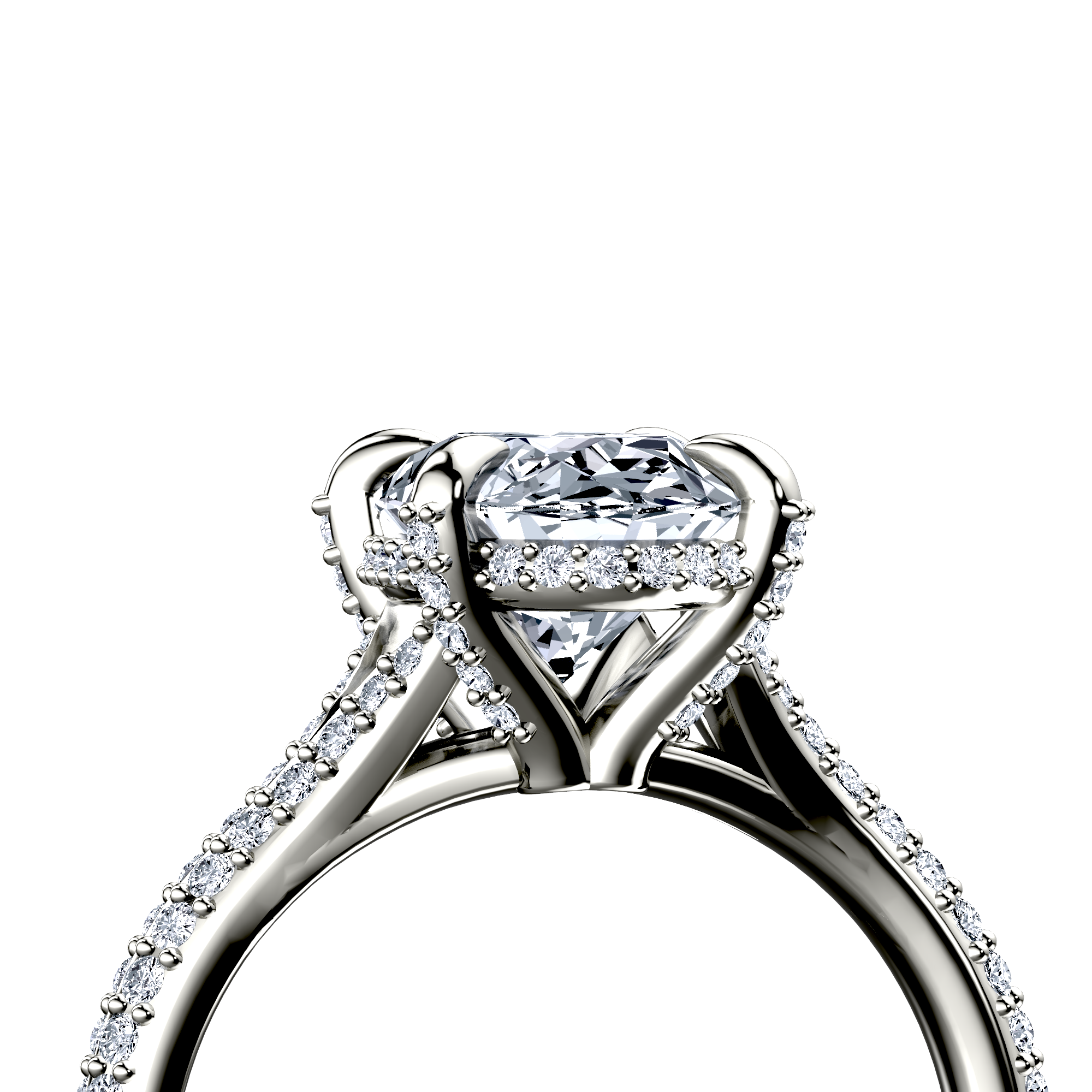 Image for The Adora
