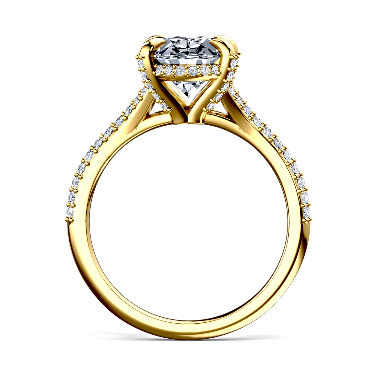 Image for The Adora