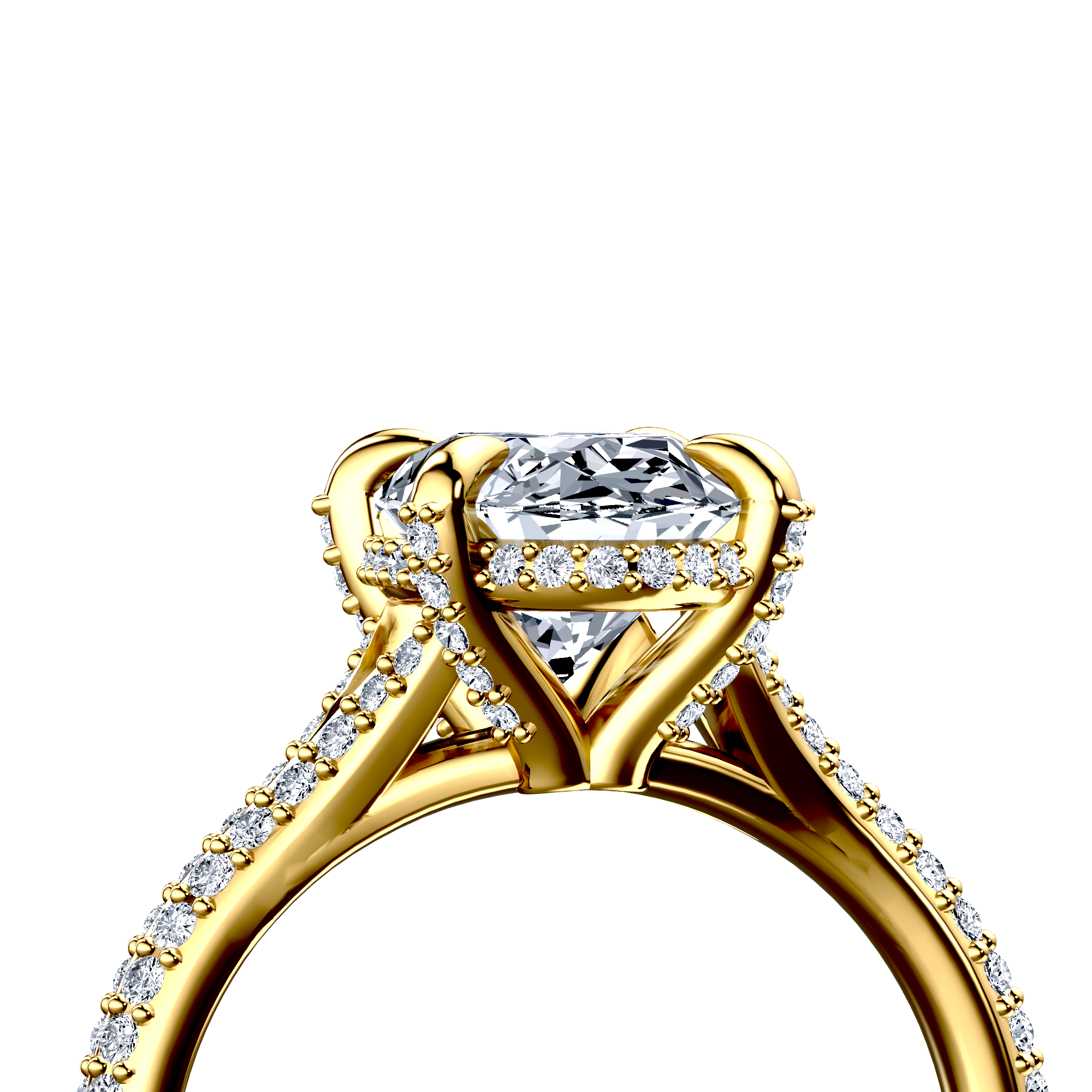 Image for The Adora