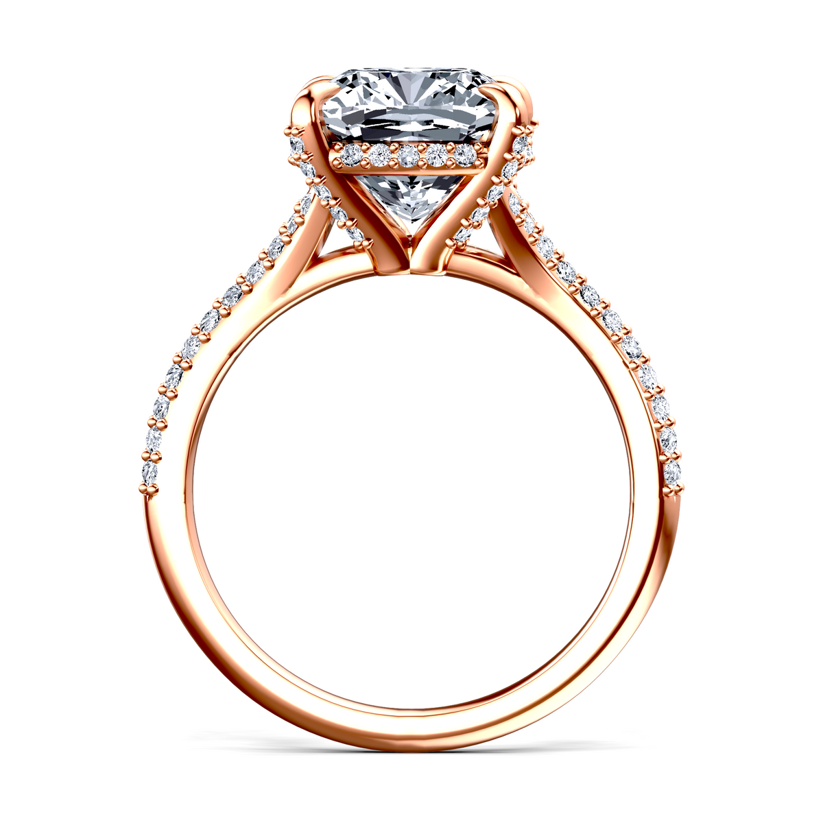 Image for The Adora