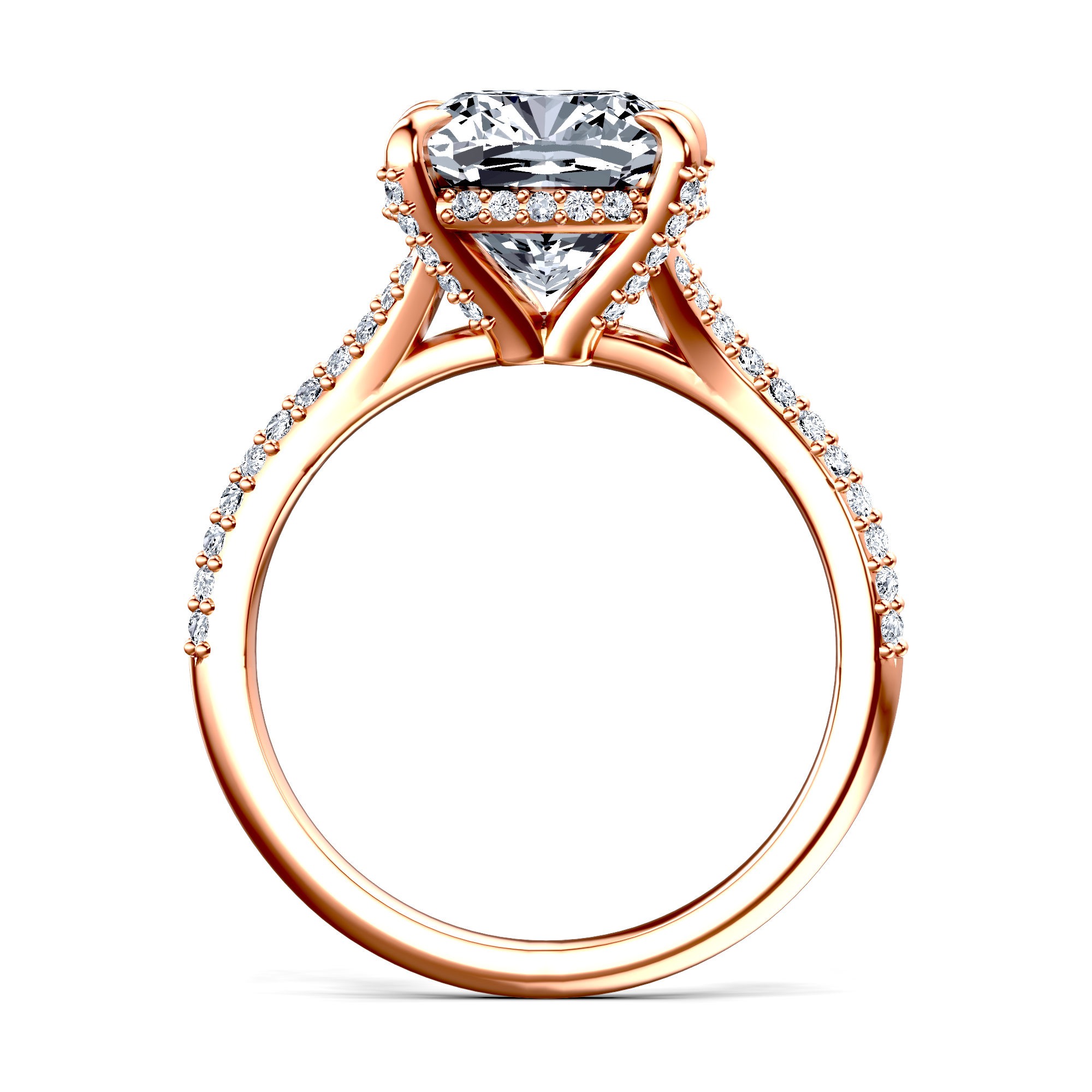 Image for The Adora
