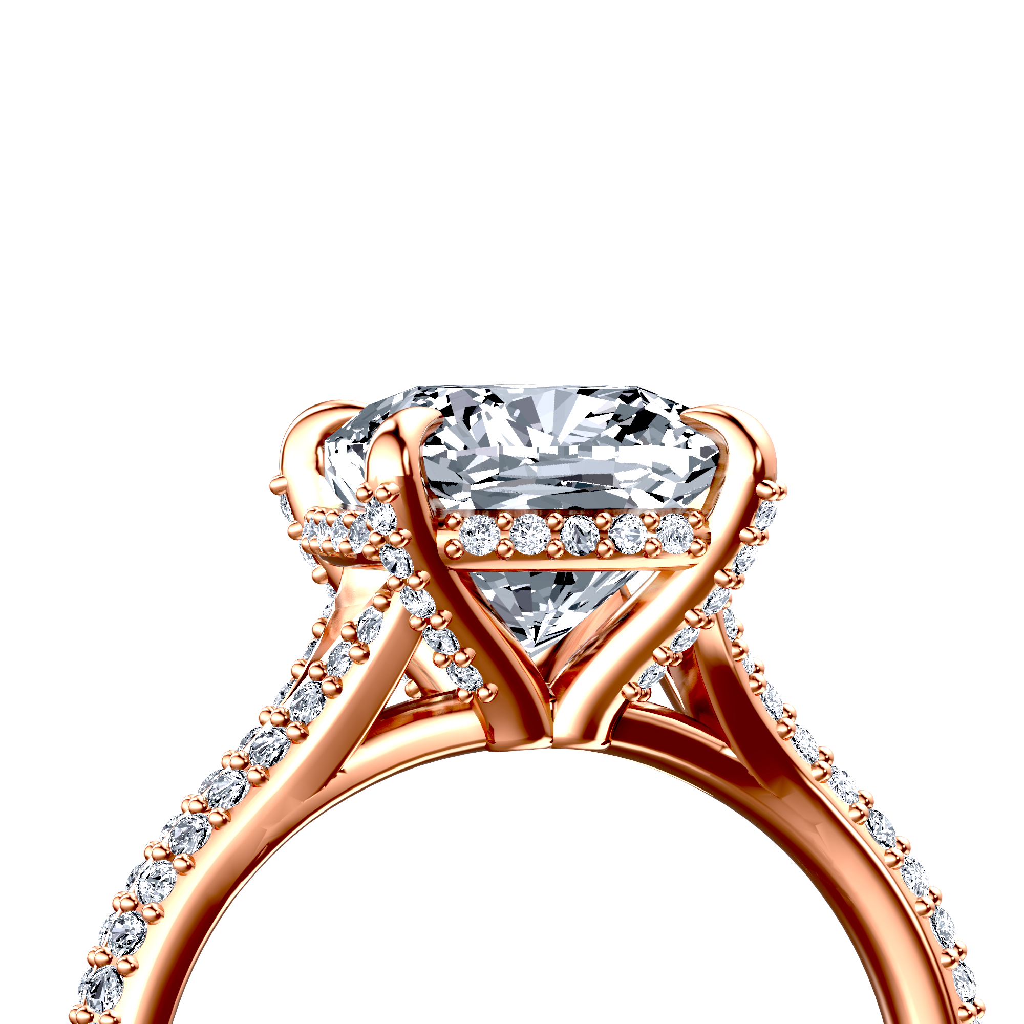 Image for The Adora