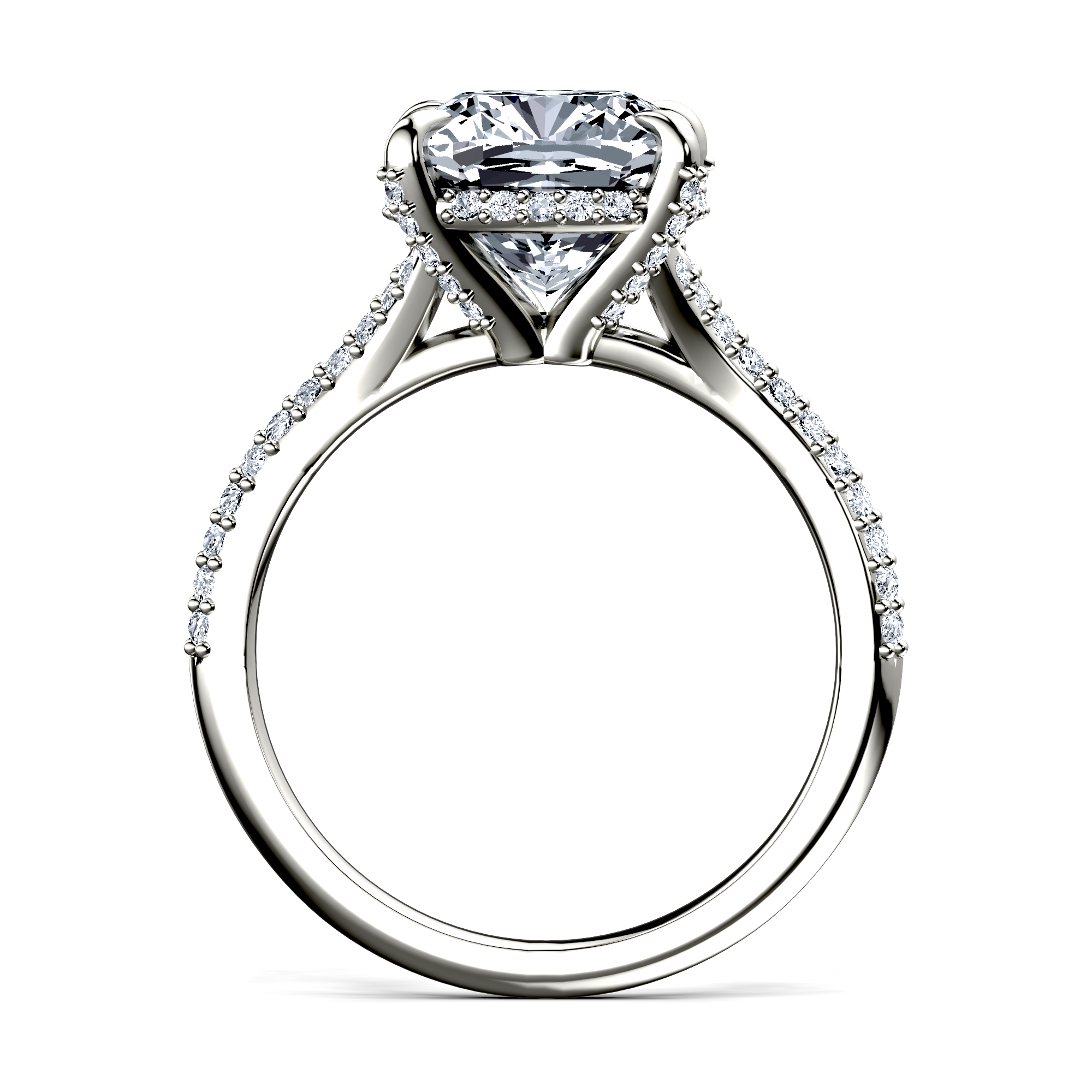 Image for The Adora