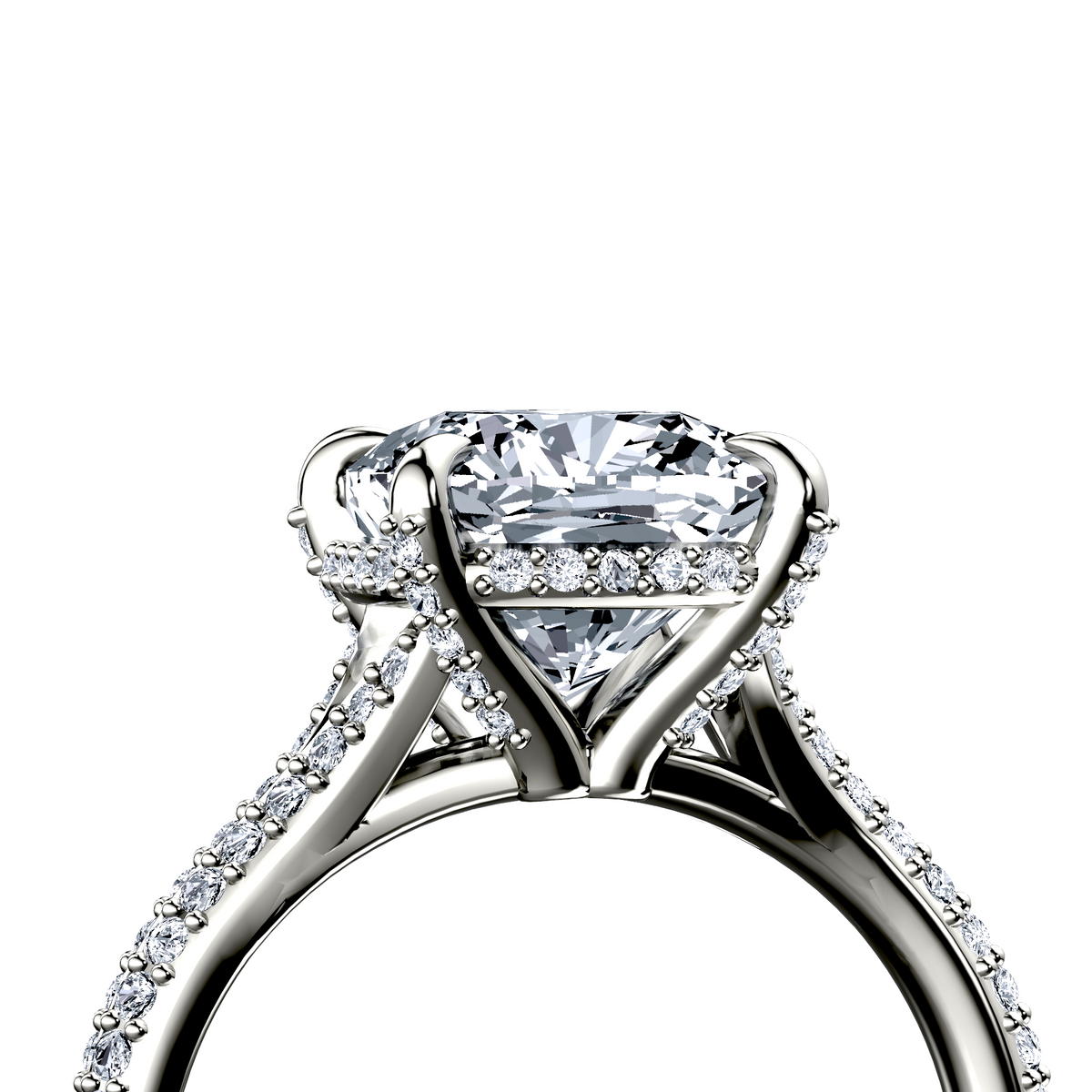 Image for The Adora