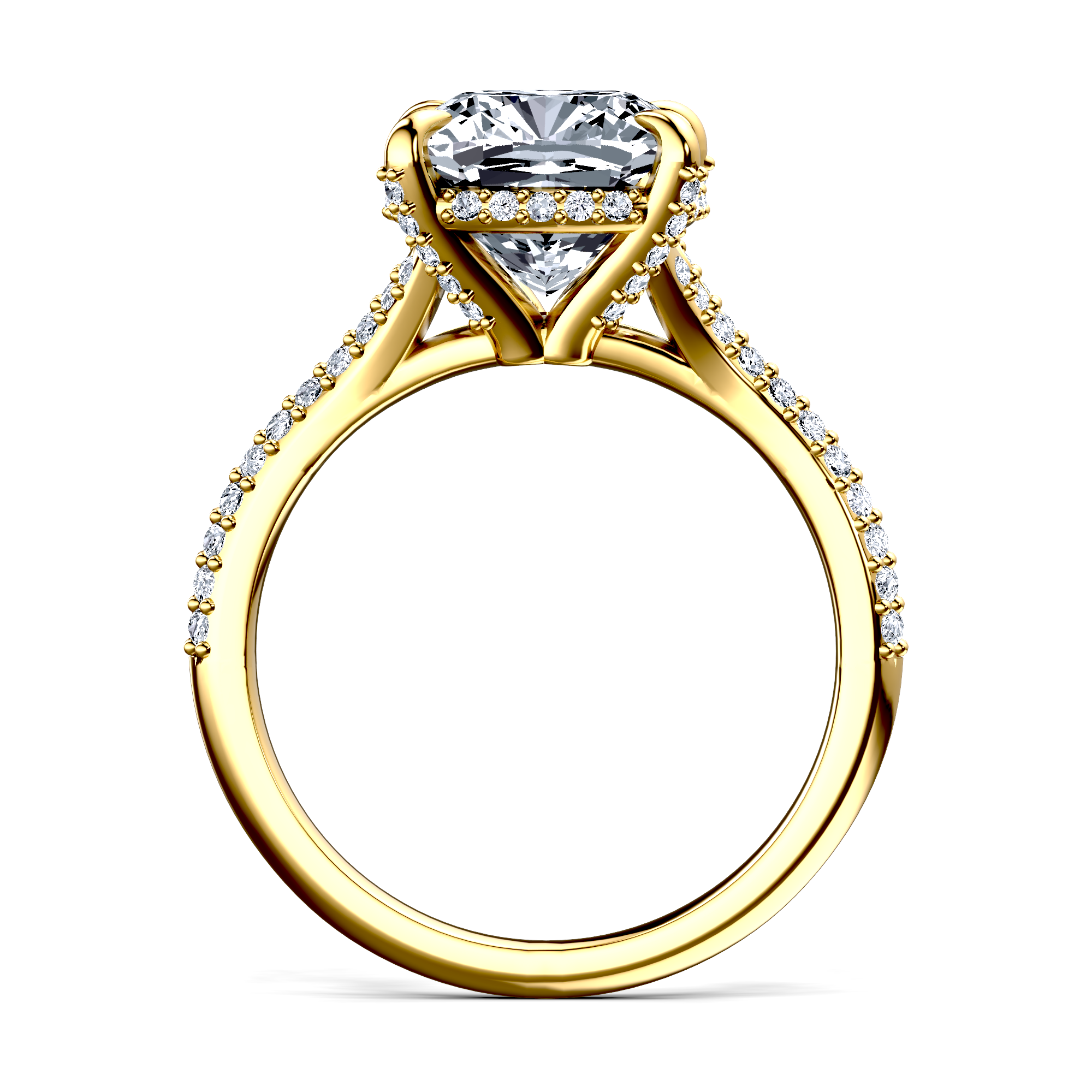 Image for The Adora