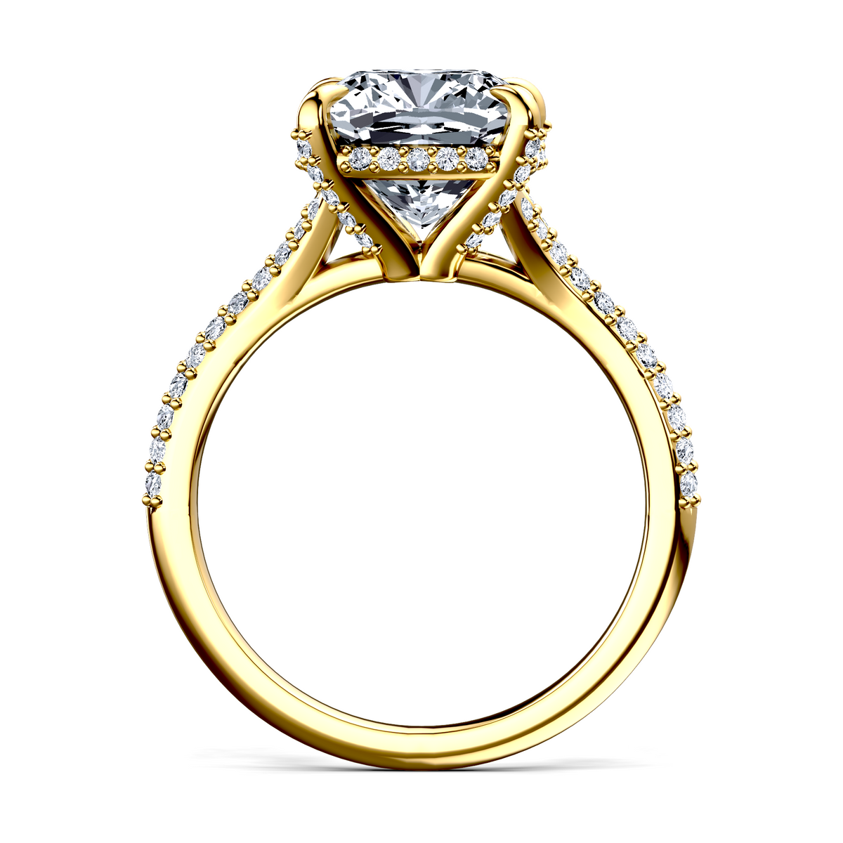 Image for The Adora