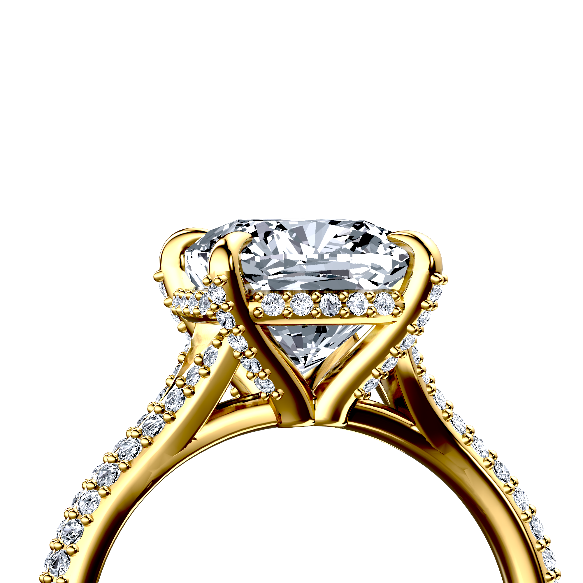 Image for The Adora