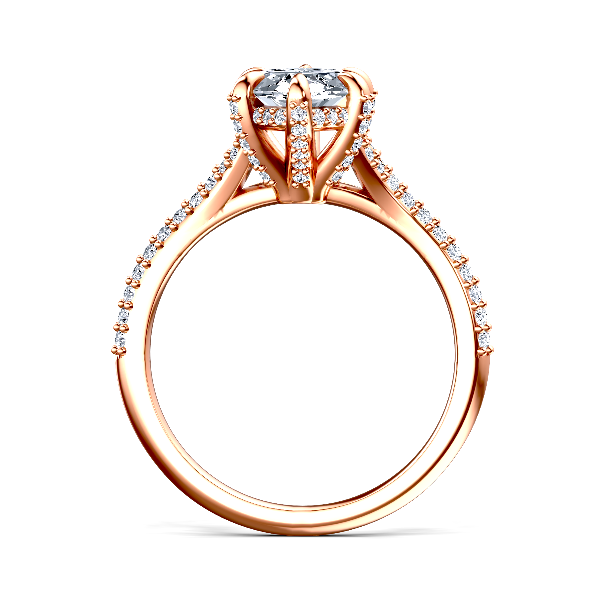Image for The Adora