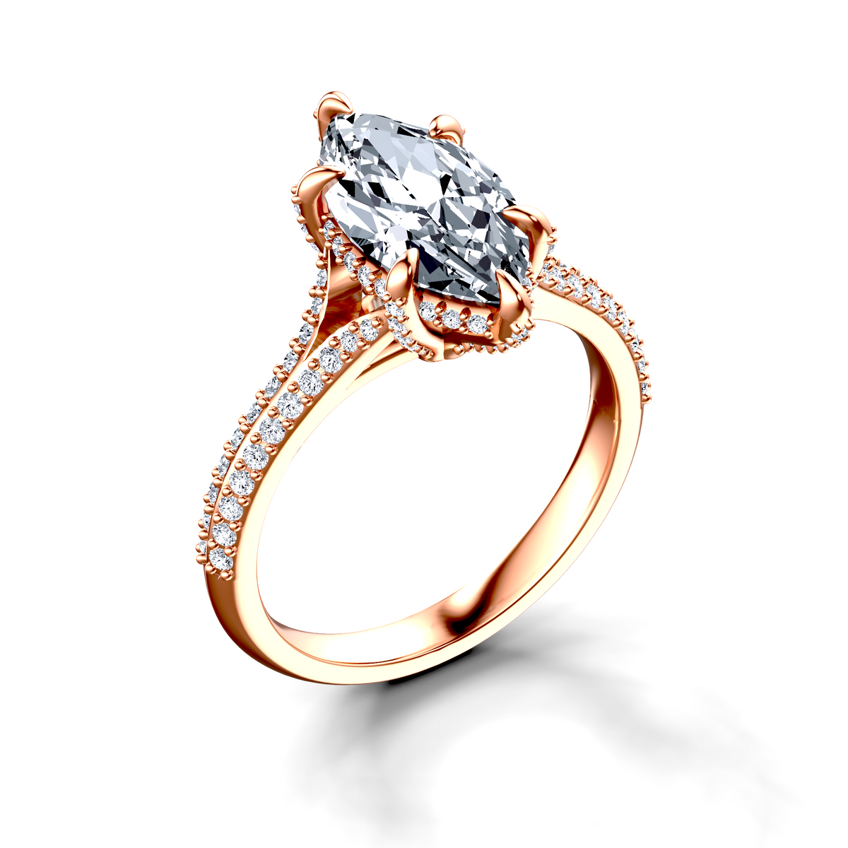 Image for The Adora