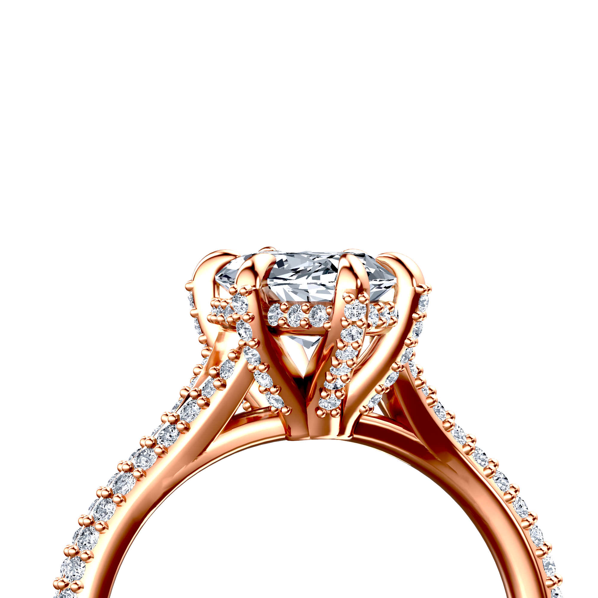 Image for The Adora