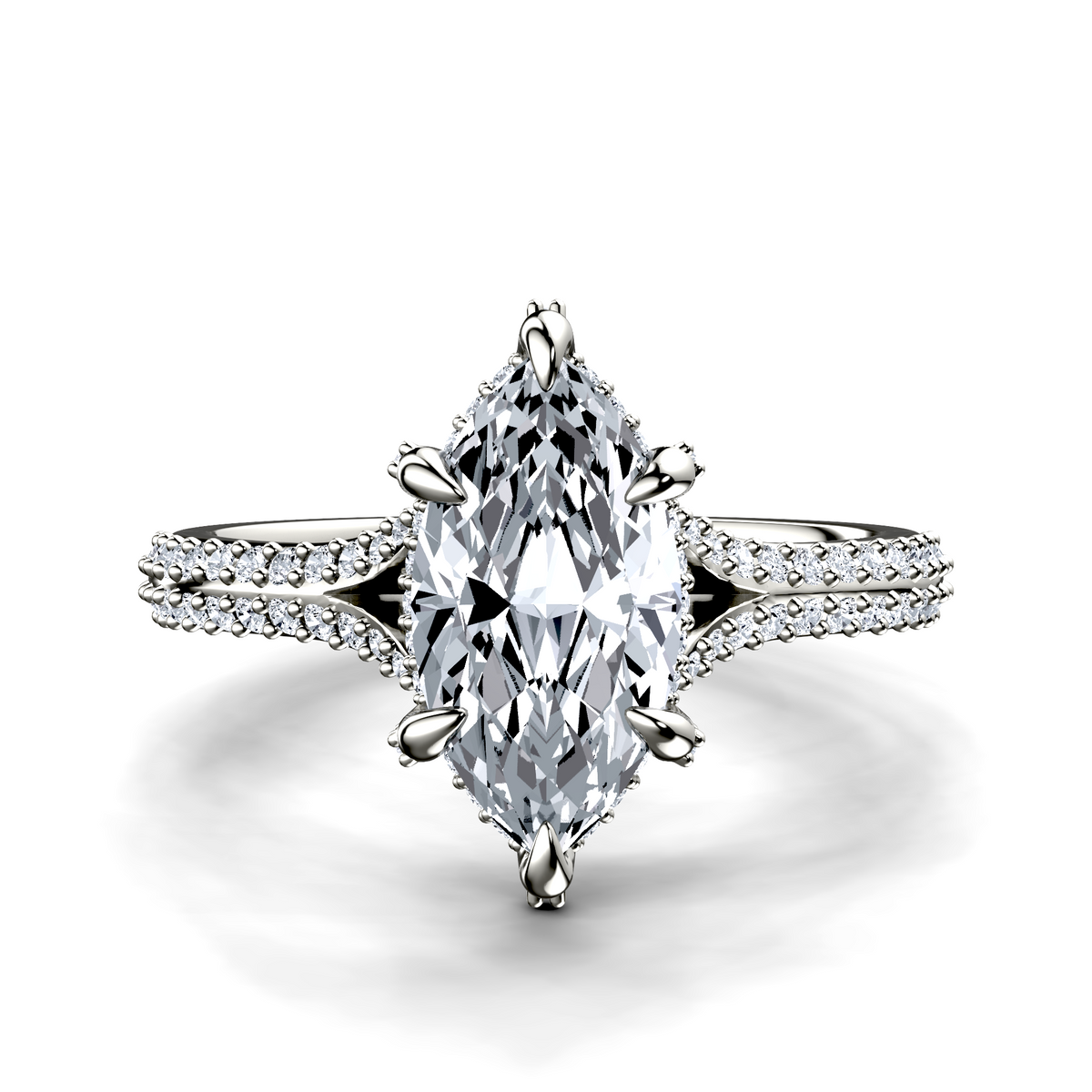 Image for The Adora