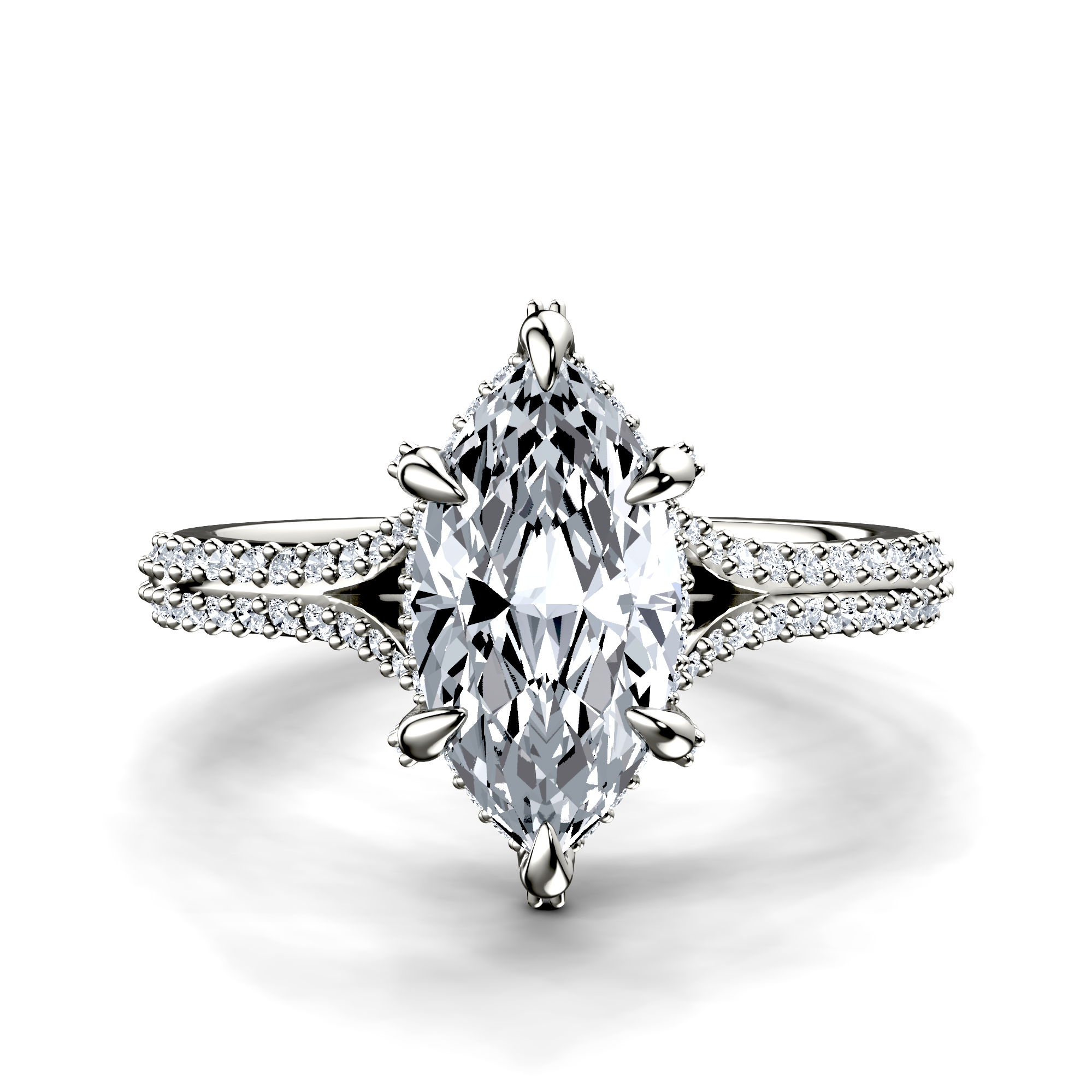 Image for The Adora