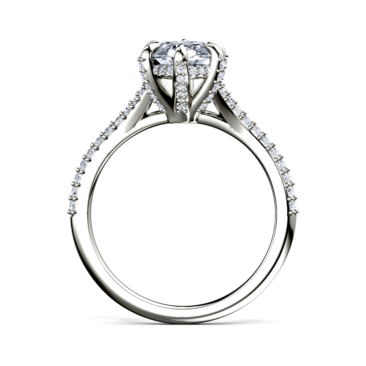 Image for The Adora