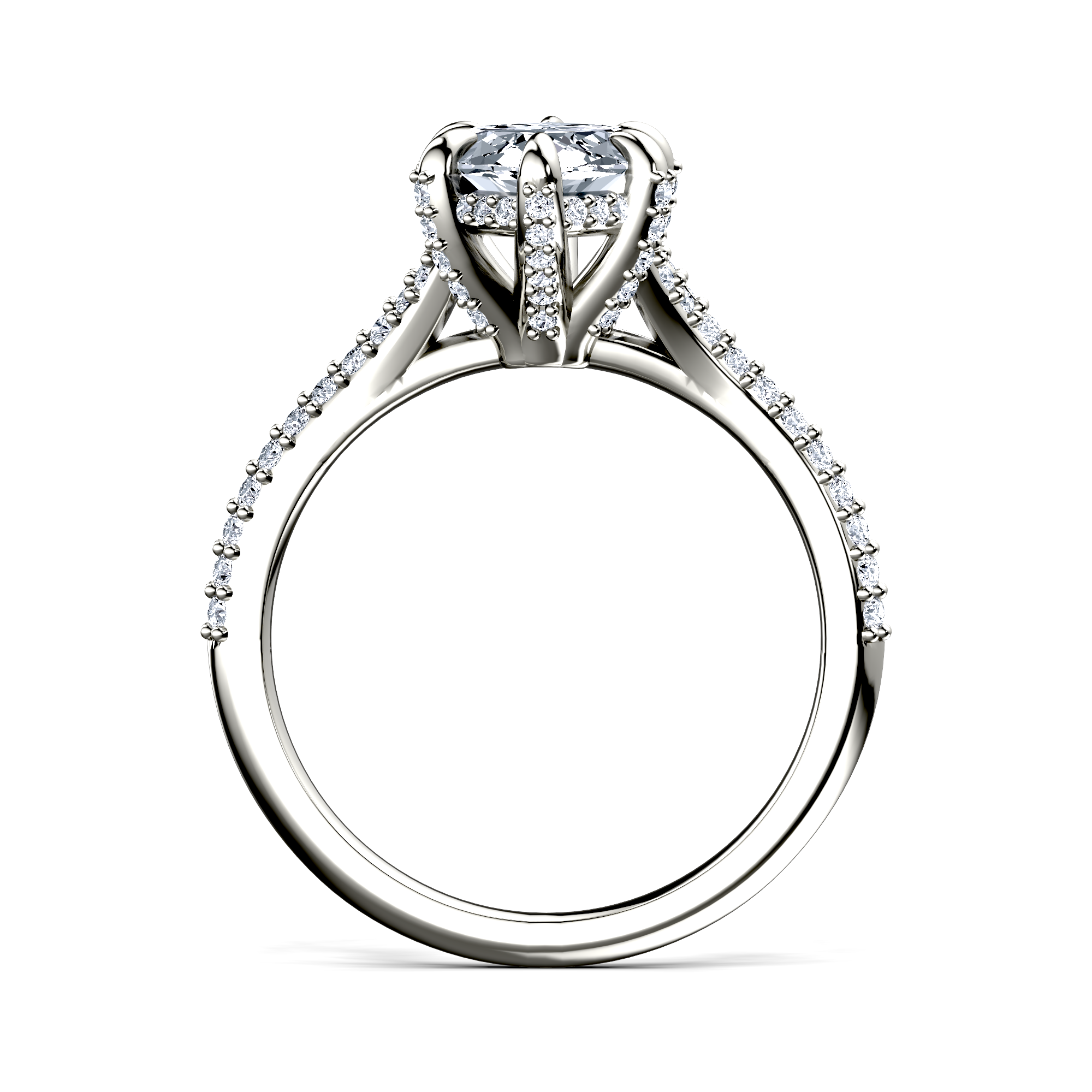 Image for The Adora