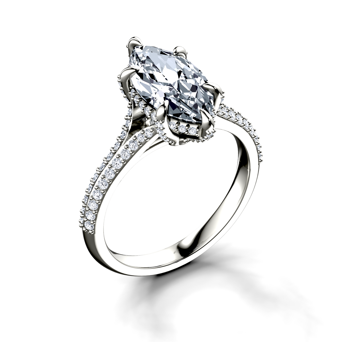 Image for The Adora